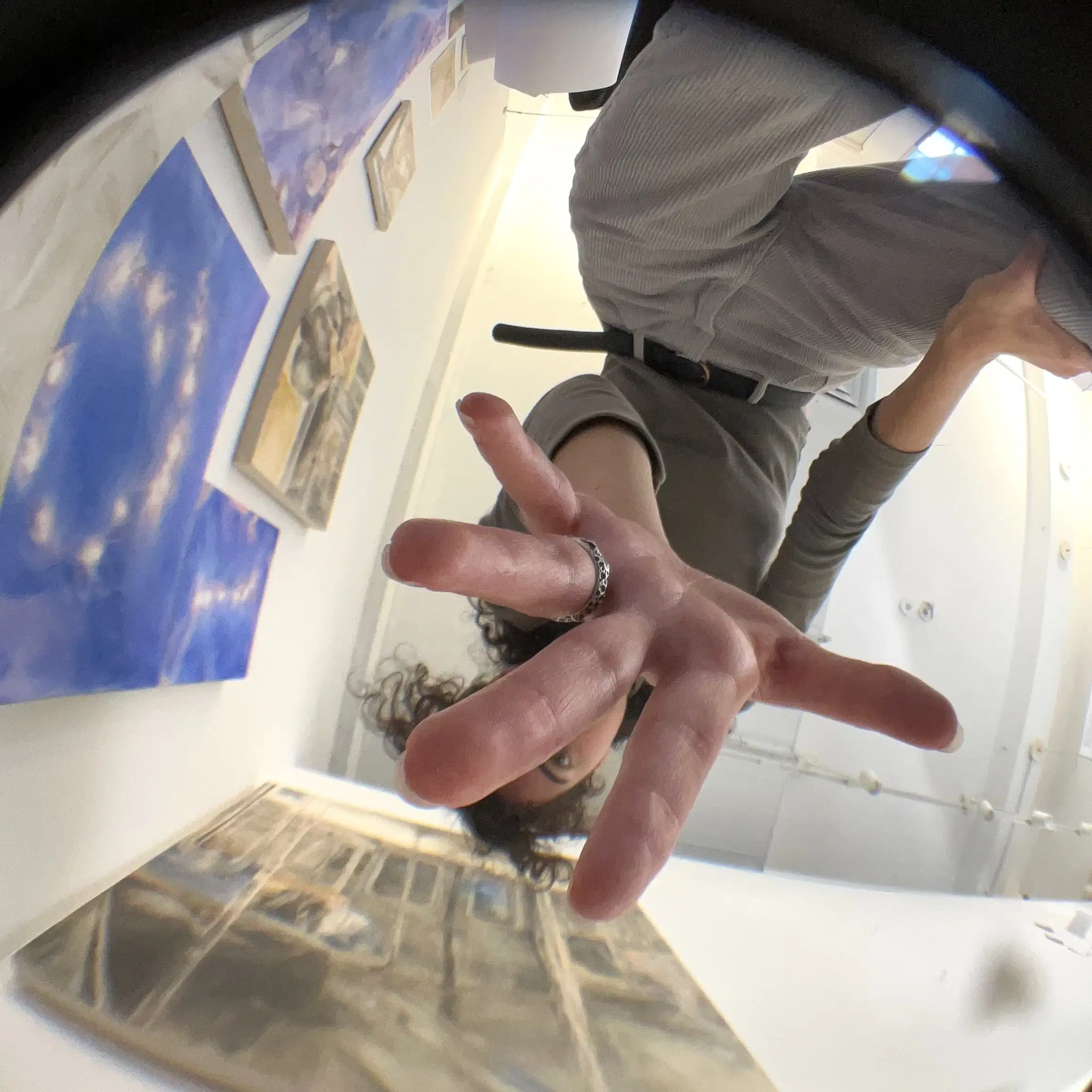 fisheye of silvias hand