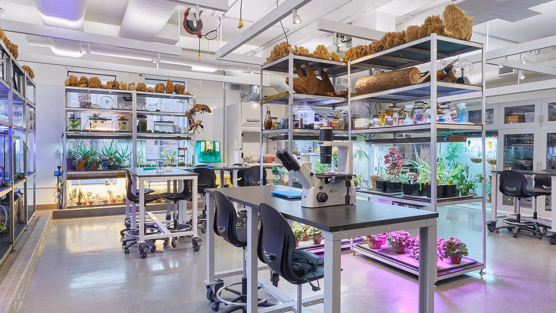 Interior view of a bio art lab, including shelving units with plants and grow lights, a lab table with a microscope, and other natural materials such as tree bark.