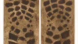 shoe prints being used as possible evidence