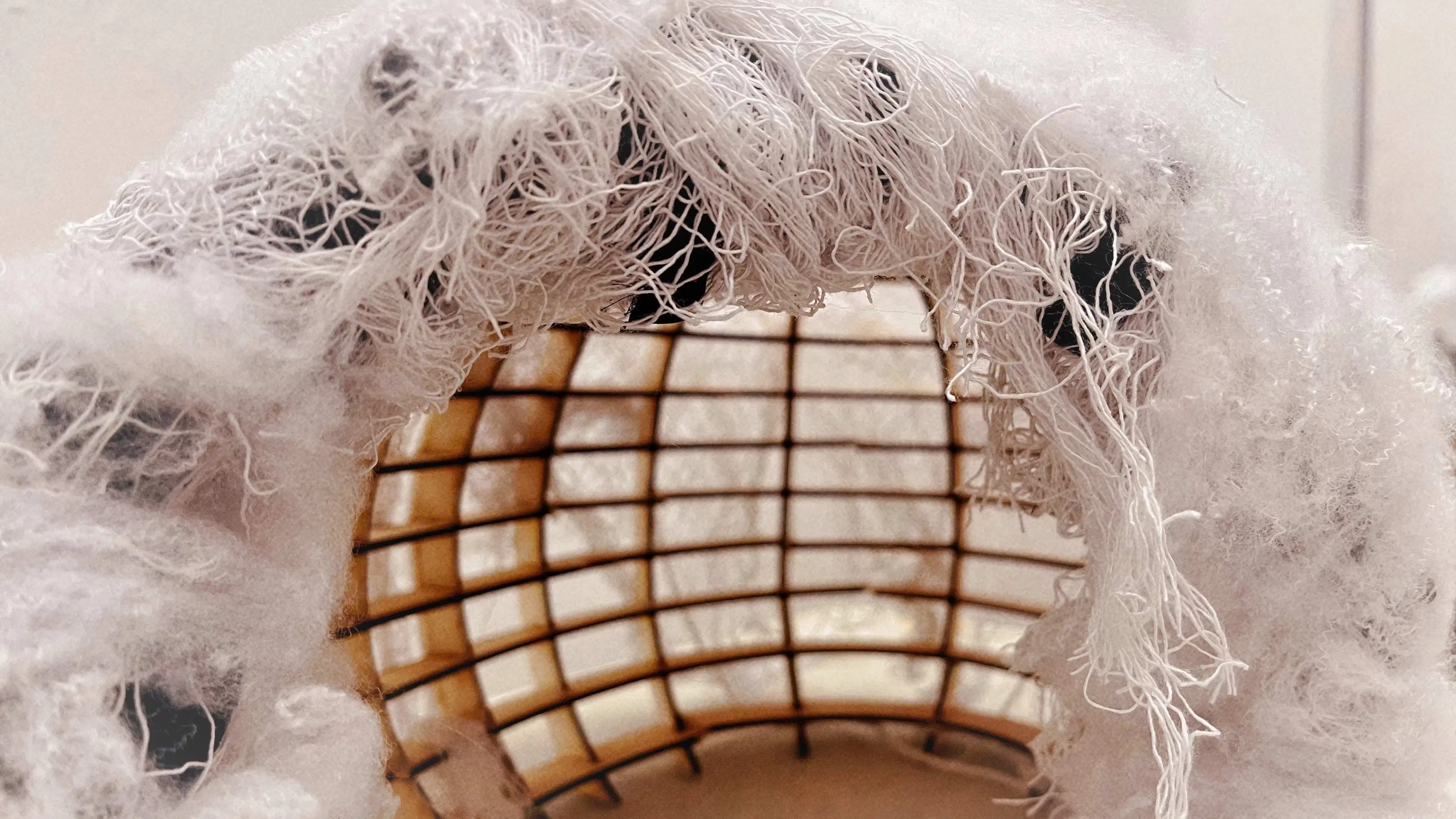 A photo of a sculpture that looks to be an entrance to a cocoon-like structure with a gridded skeleton, shrouded in stings and webs