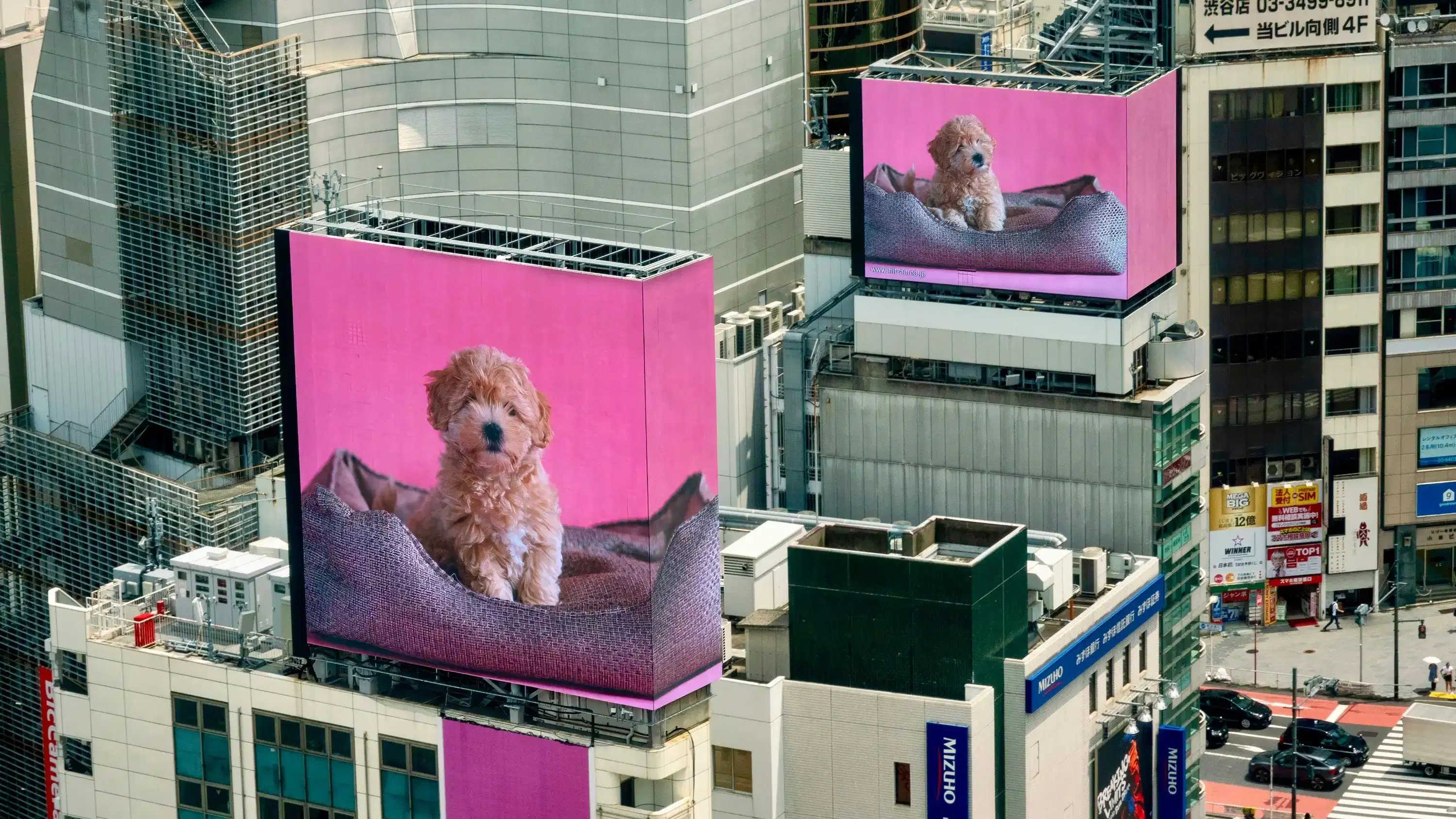 i3 Photo Lecture: Elizabeth Krist | Jun 9, 2026; 7:00 - 8:30pm