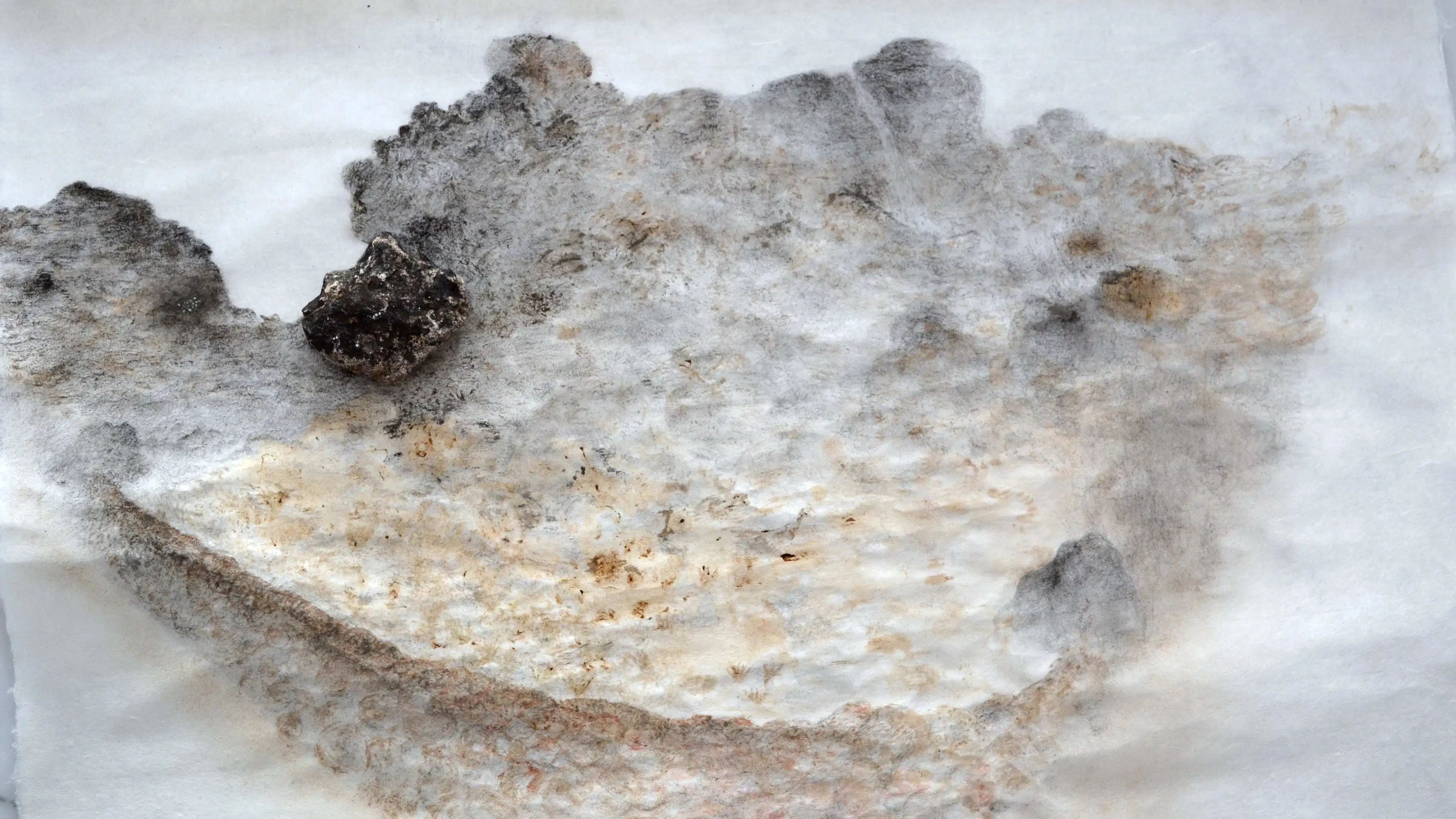 Macro shot of a fuzz type material with black soot on it over a white background.