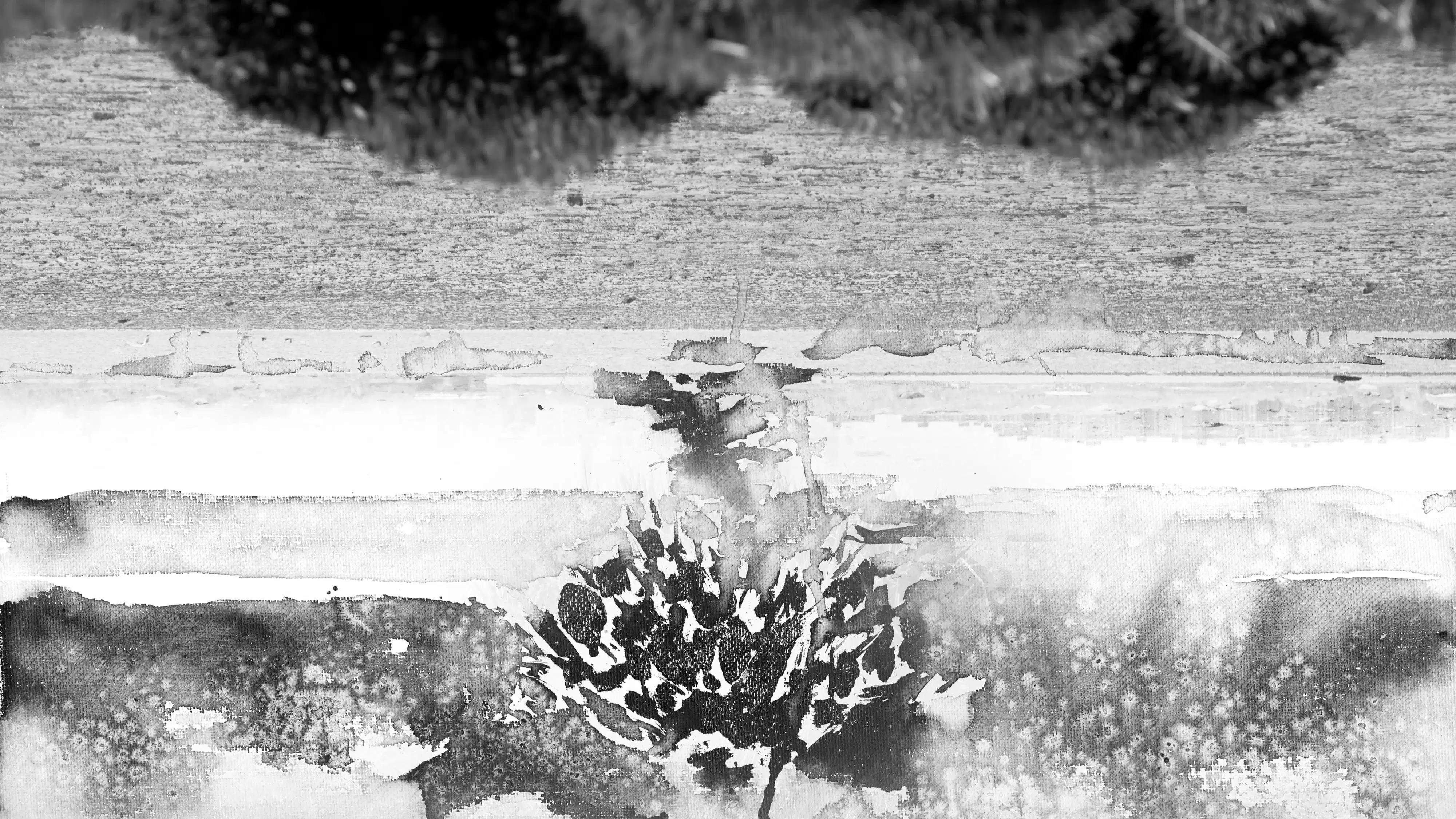 Black and white painting combined with photography, including landscape of Jamaica wildlife refuge and city views.