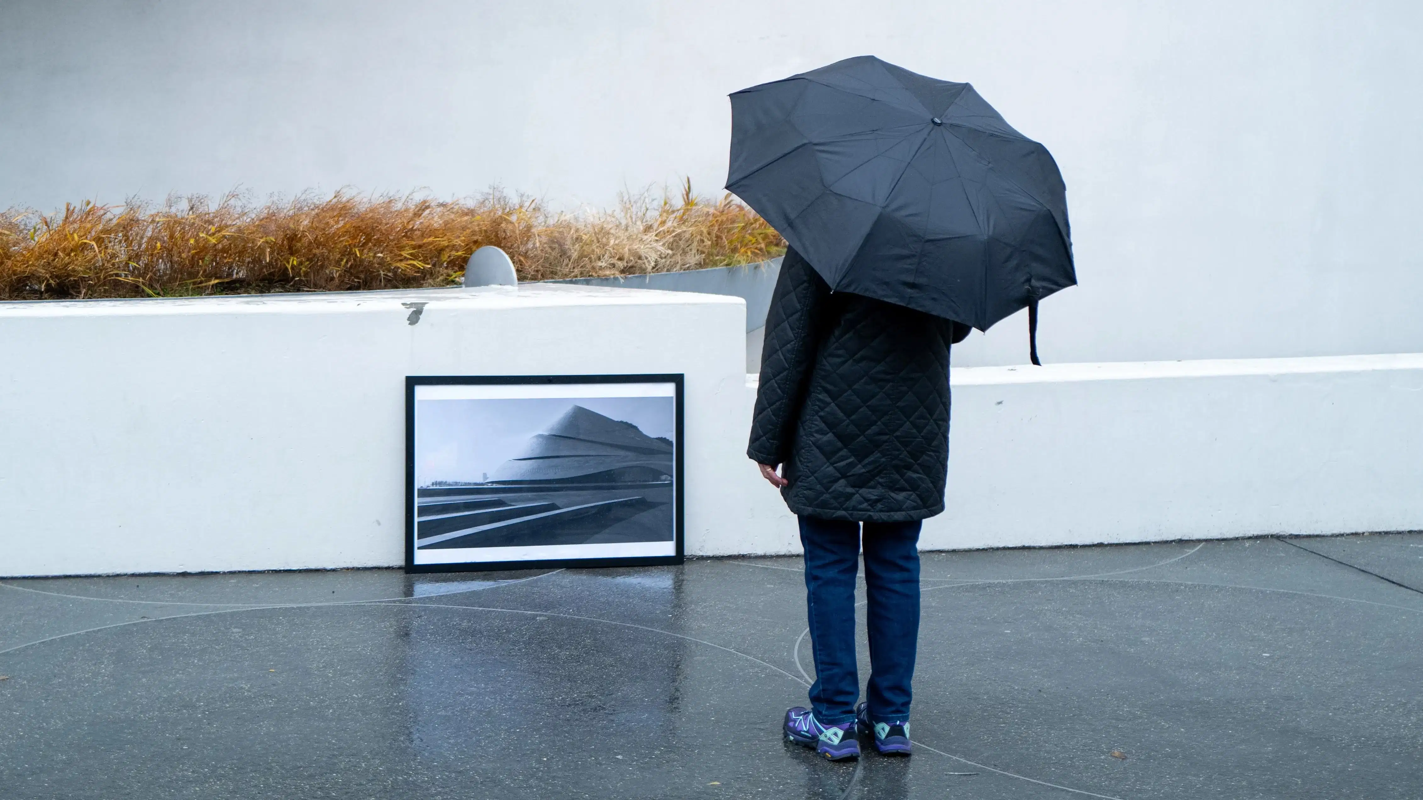 Person holding an umbrella and looking at a picture.