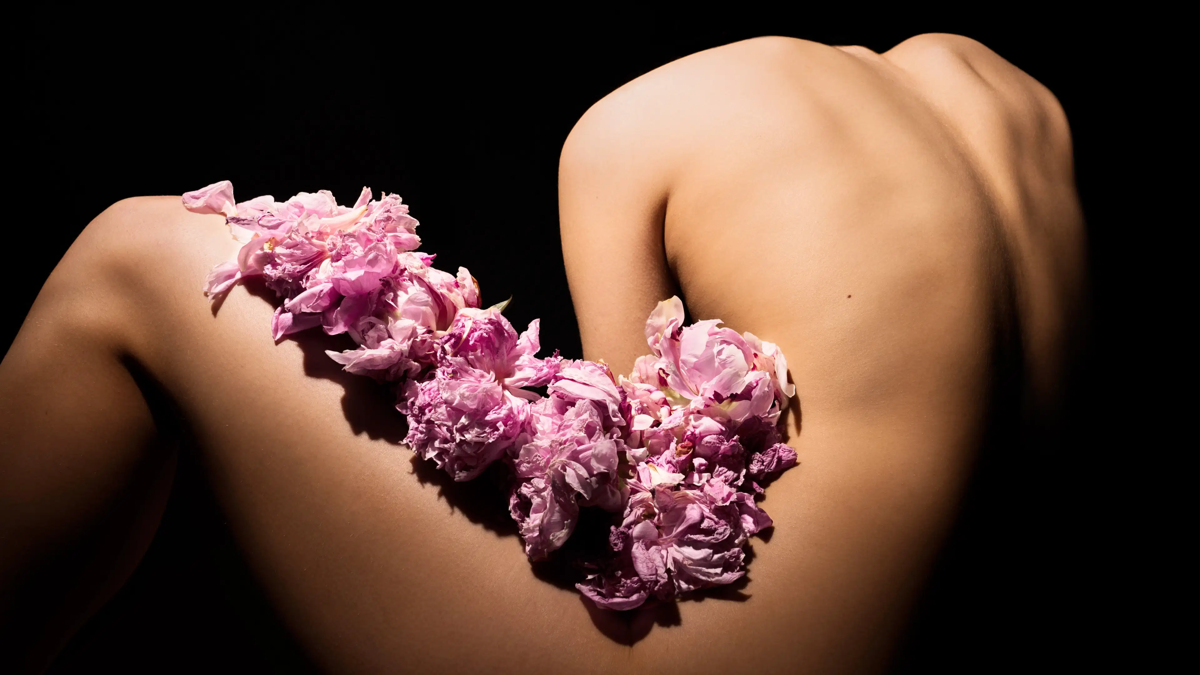 A photograph of a seated nude body from knees to shoulders, seen from the back. Their left leg is bent and their arms, right leg, and head are in front of them so we cannot see them. In the curve from thigh to ribs are pink peonies. The background is black.