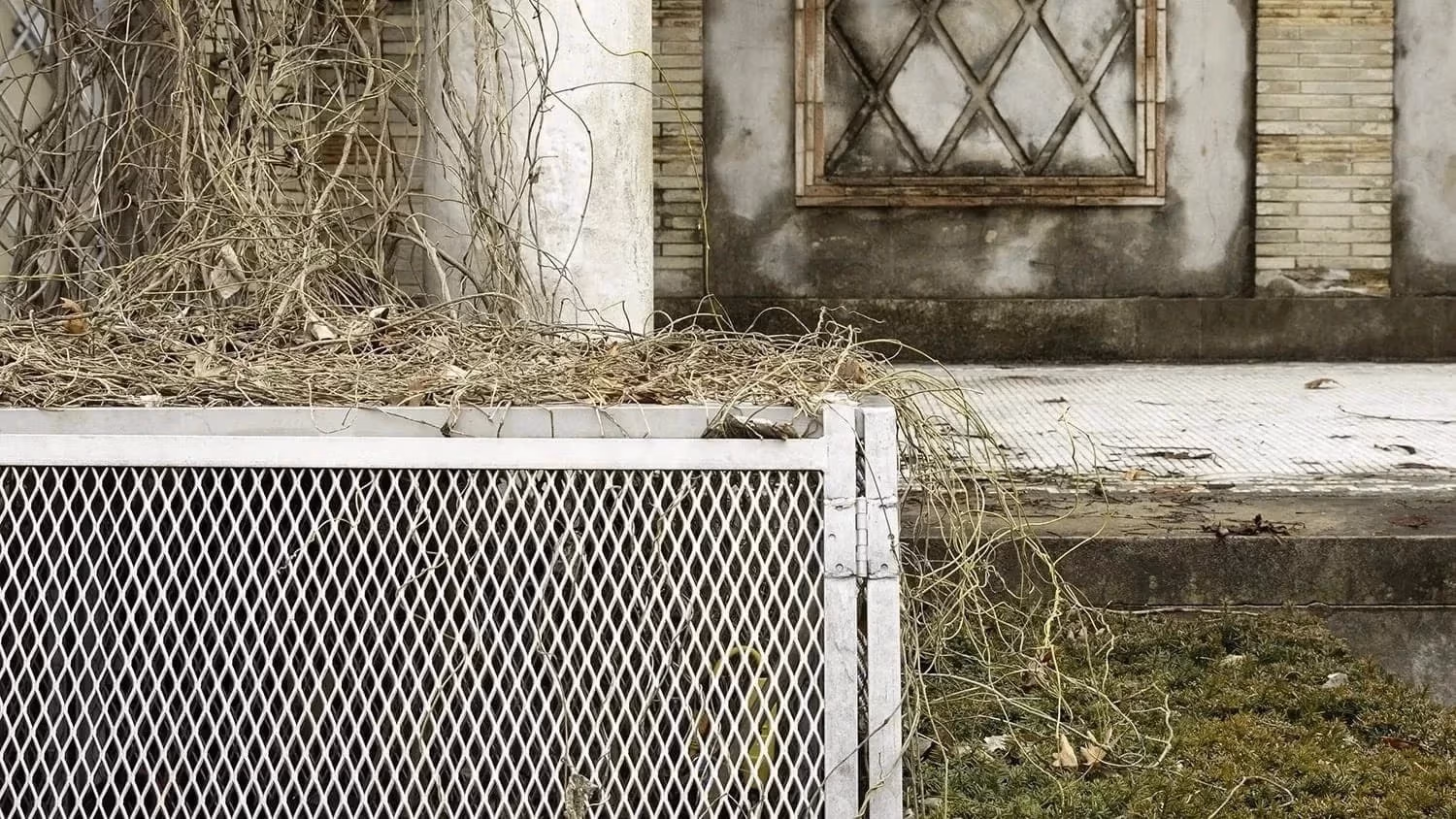 A composite image of dead vines, an abandoned house, a metal grate, and grass 