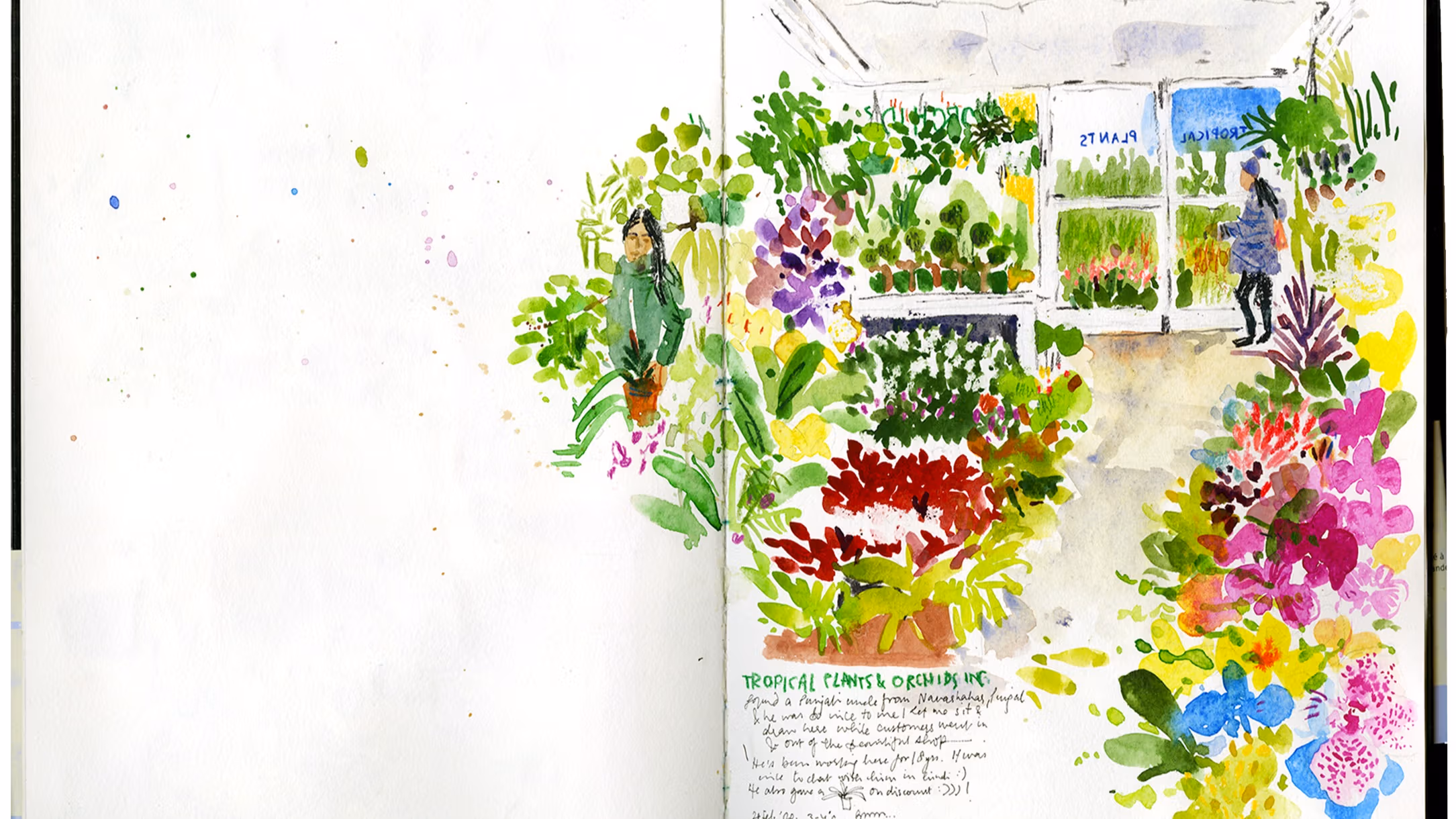 Illustration by MFA Illustration student, Ishita Jain, of a watercolor painting of 14 different jars and bottles with plant specimens in them.