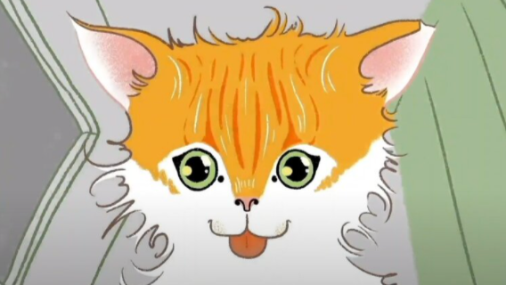 Orange cat with wide green eyes 