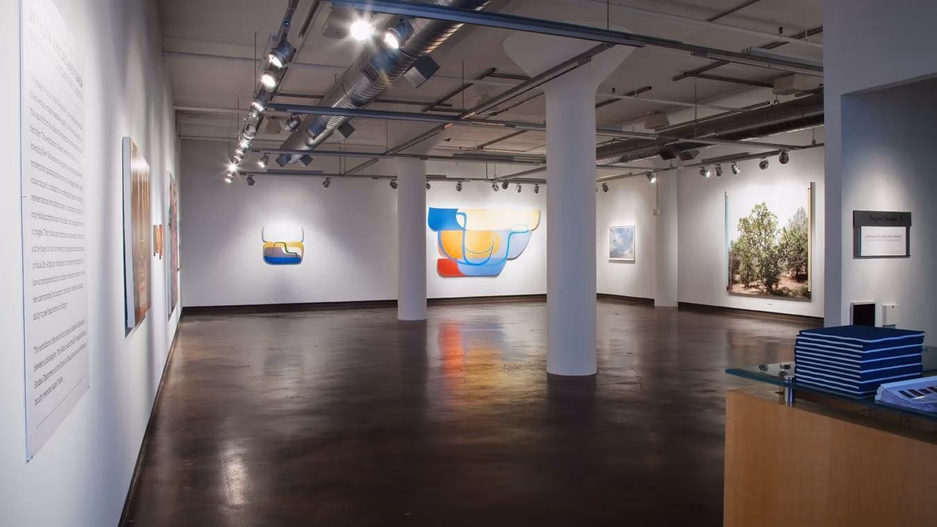 Exhibition photograph of “Between Picture and Viewer," showing front room of the Visual Arts Gallery with paintings on all three walls.