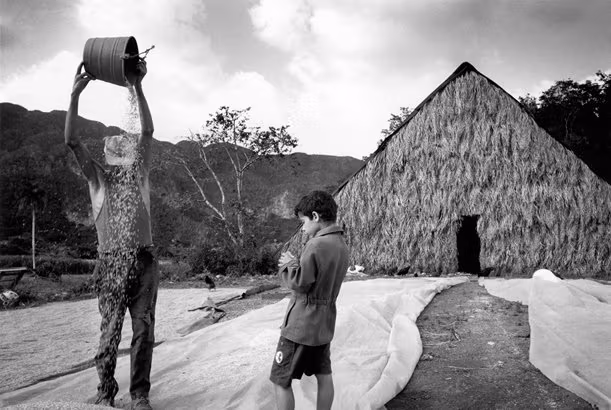 Two males standing in front of a hut. The taller one pours a bucket of water over his head.