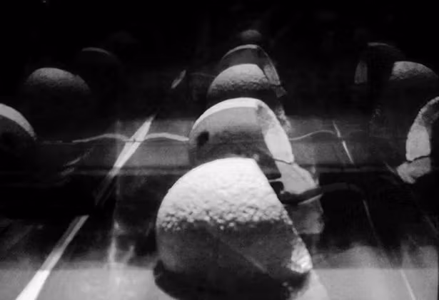 A melon or helm in the background. There are multiple of them.