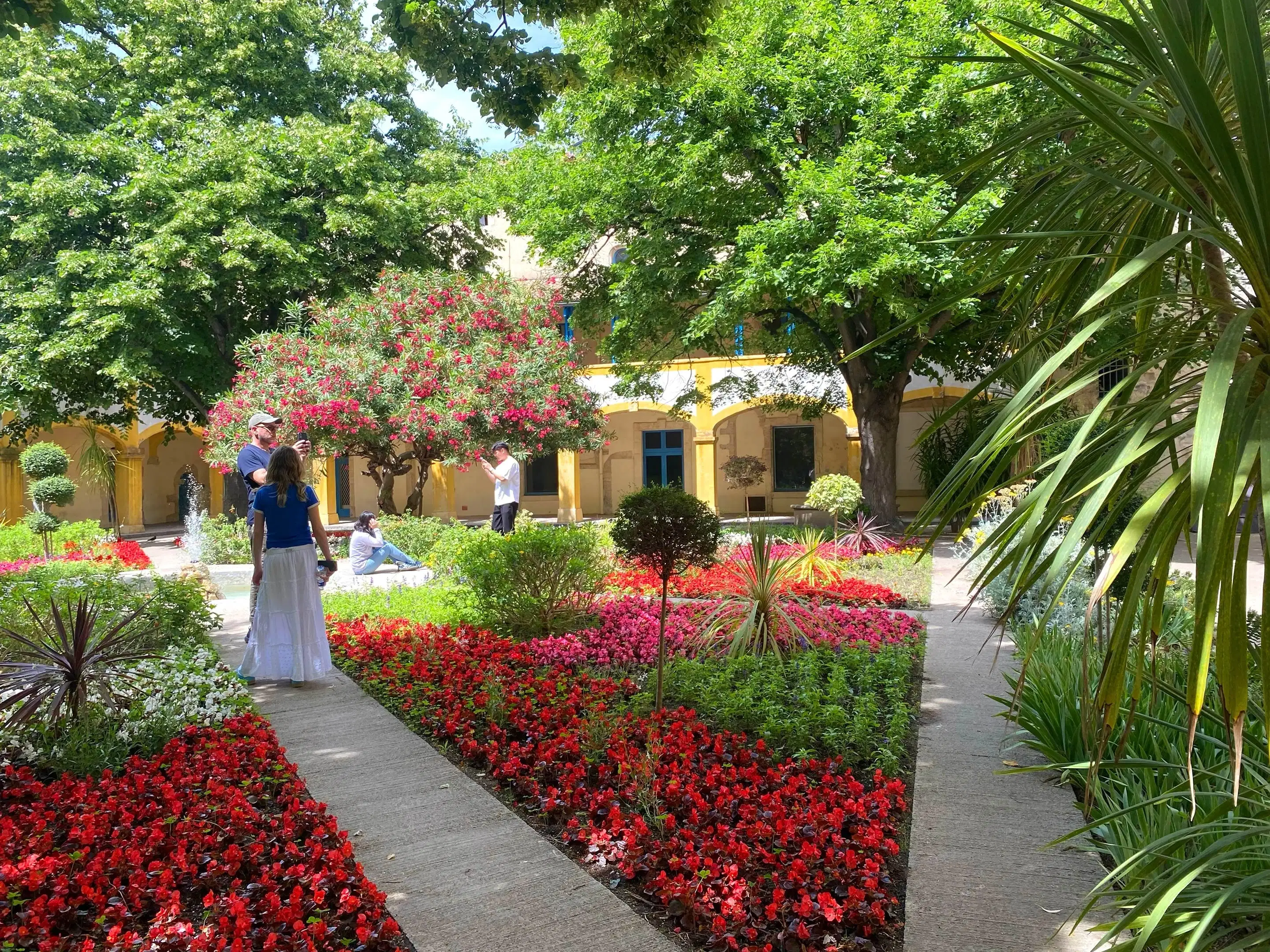 Beautiful verdant and lush gardens in the south of Frances, rows of vibrant pink and red flowers in the foreground.