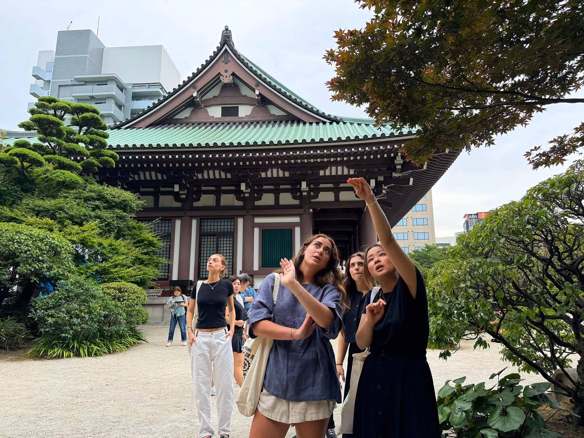 Students pointing up and looking in the sky with a traditional Japanese minka houses in the background among verdant trees and bushes. 