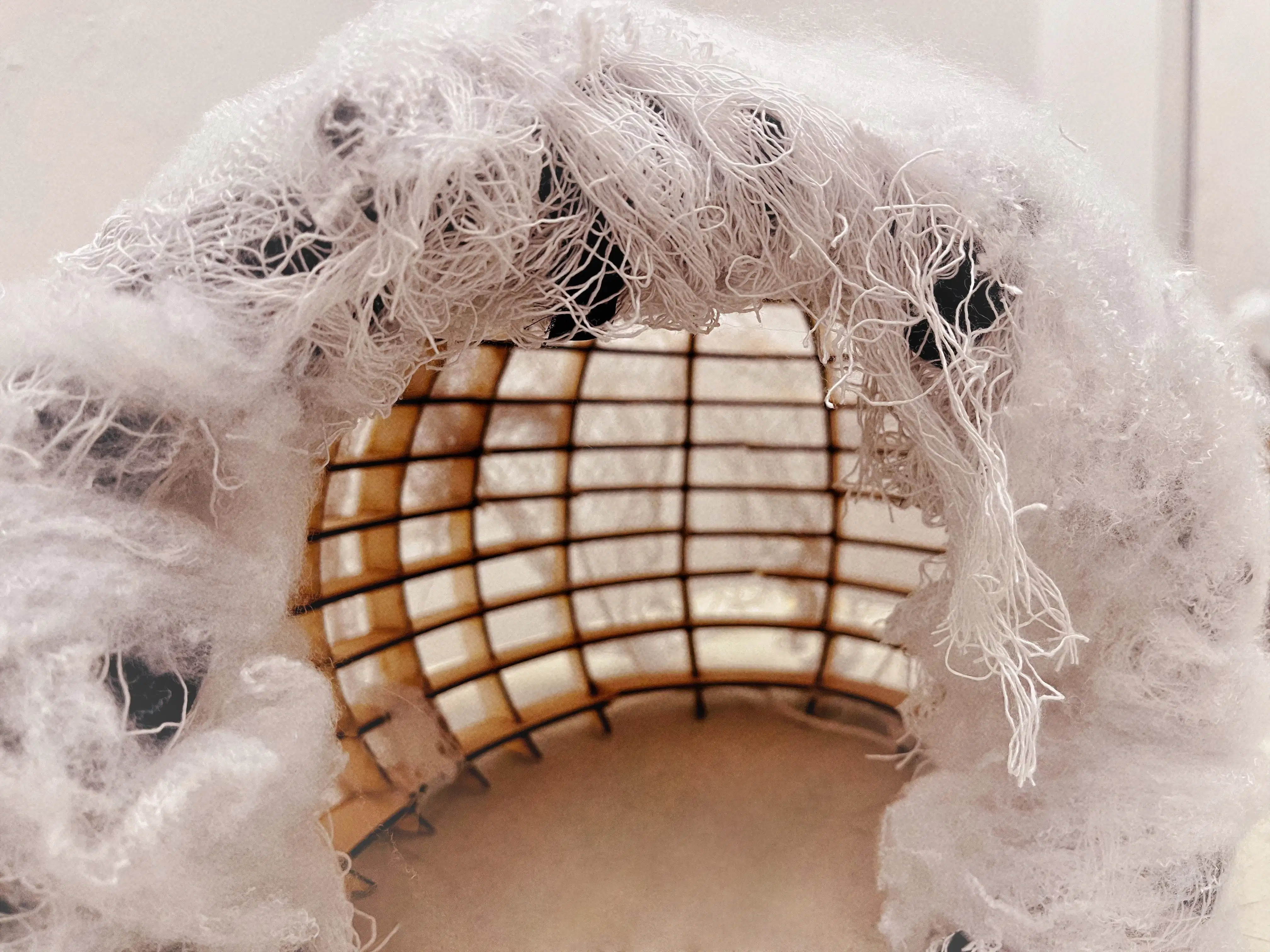 A photo of a sculpture that looks to be an entrance to a cocoon-like structure with a gridded skeleton, shrouded in stings and webs