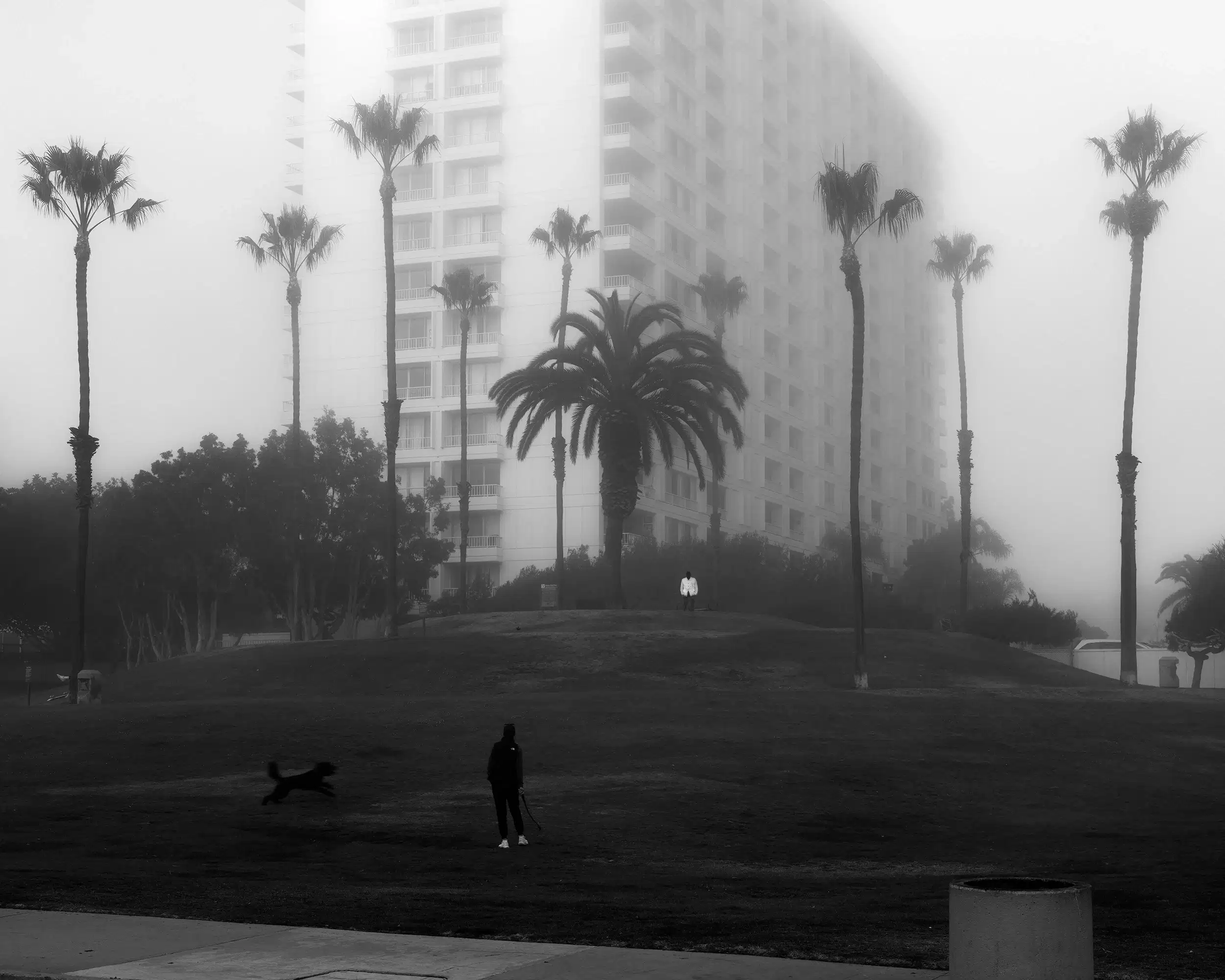 This black-and-white photograph captures a serene yet haunting urban scene enveloped in heavy fog. Tall, slender palm trees stretch toward the sky, their leaves softly blurred by the mist. A modern high-rise building looms in the background, its sharp edges softened by the fog, giving it a ghostly, ethereal quality. In the foreground, a person dressed in dark clothing stands on a grassy hill, holding a leash as their dog joyfully runs ahead. The contrast between the dark figure and the bright fog emphasizes their isolation within the scene. Further up the hill, a small figure in white appears, adding a sense of mystery and scale. The interplay of light, shadow, and fog creates a quiet, dreamlike atmosphere, inviting viewers to contemplate the relationship between urban life and nature, as well as the solitude found within bustling environments.