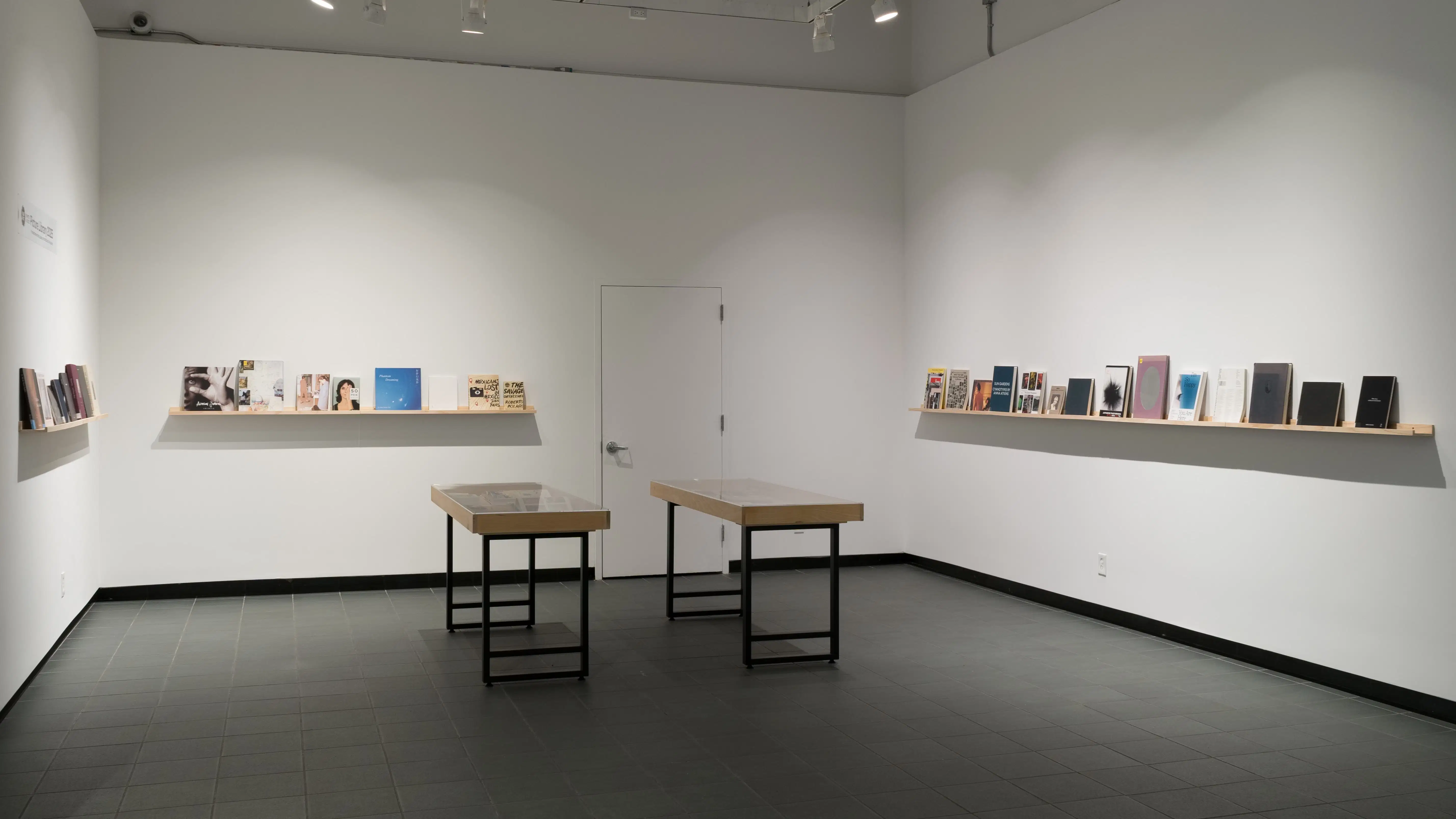 The three visible walls of the gallery are lined with long wooden shelves. The shelves are full of front-facing books of all kinds. Two small vitrines stand in the center of the space.