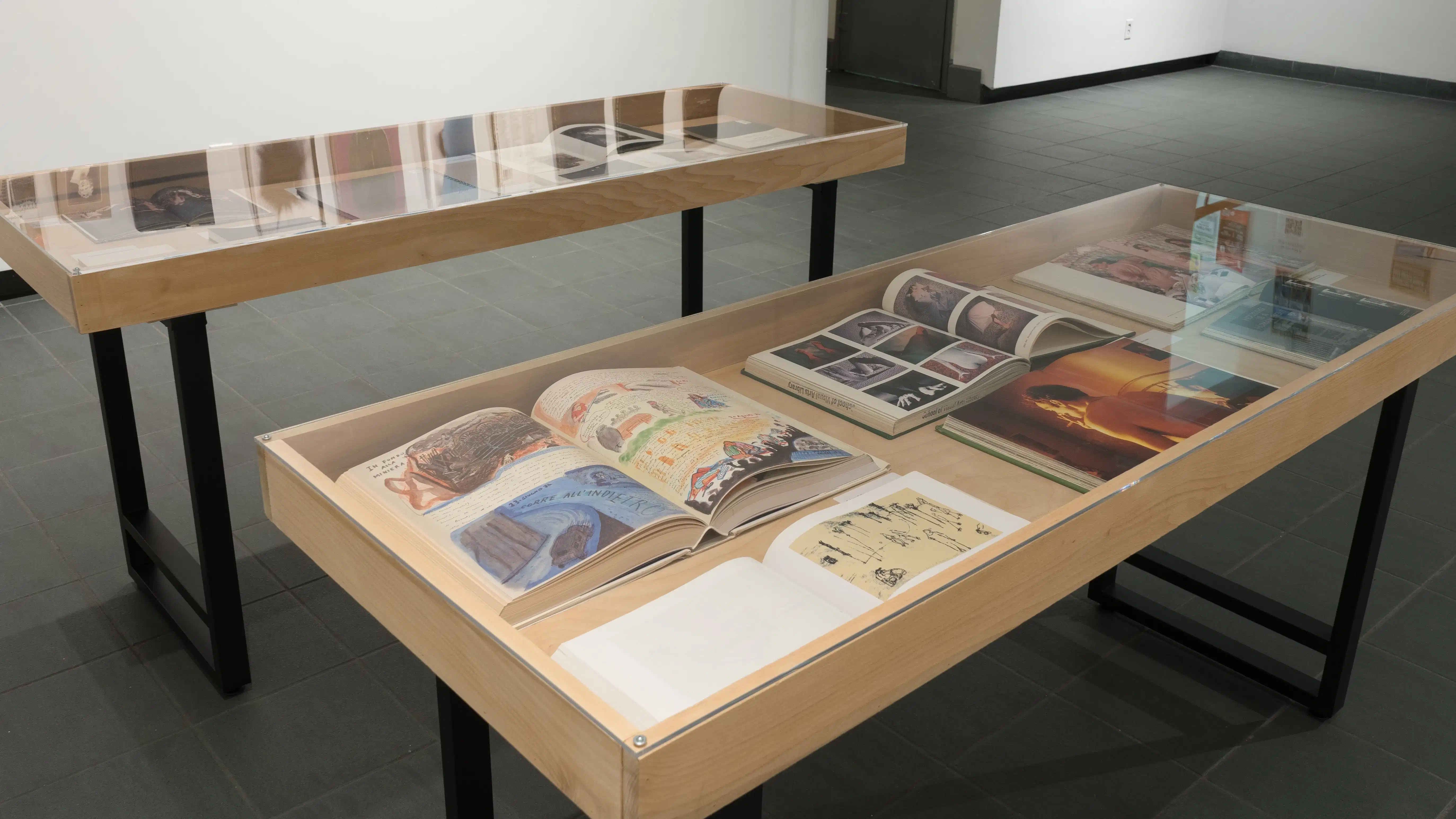 Looking down at the two vitrines, several books are open inside them. The books show photos, illustrations, and paintings.