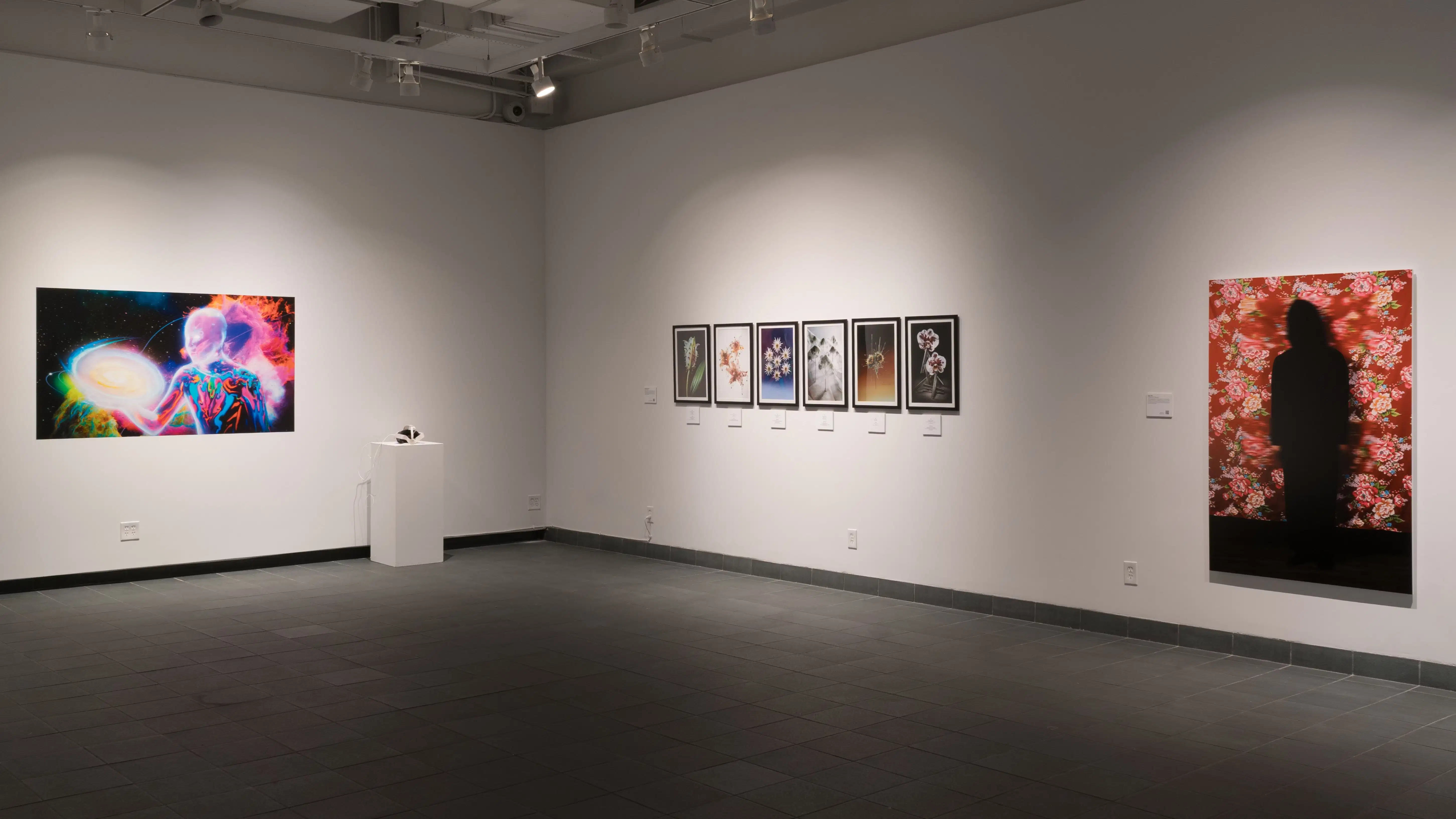 A corner wall inside SVA’s Gramercy Gallery. On the very far left wall is a colorful photograph, and on the right wall is a series of six photographs lined neatly up, and another large image.