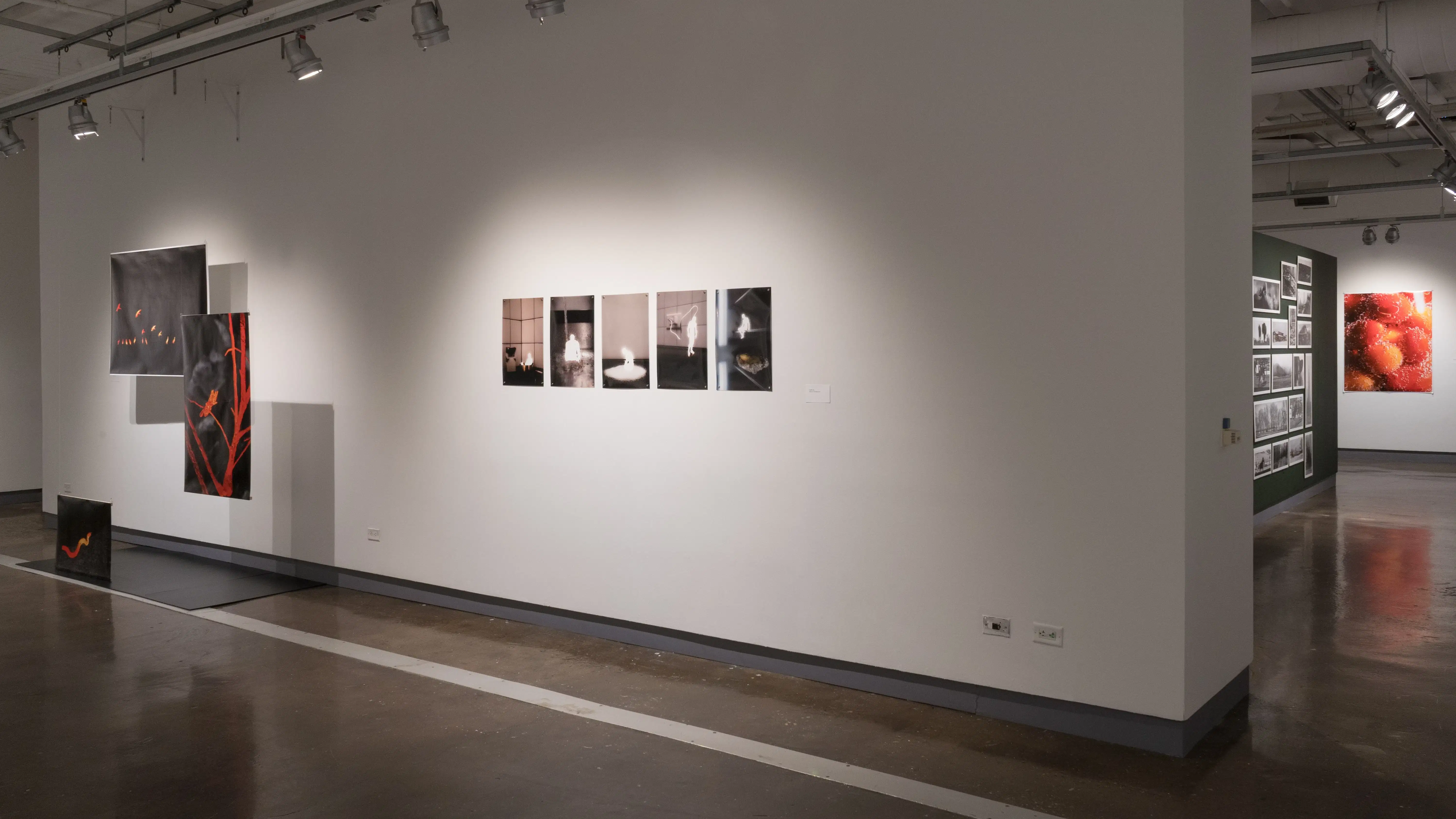On a wall in gallery two, five vertical, unframed photographs are pinned side by side. Each photograph depicts a white silhouette in a mundane environment. To the left, three prints of black and red photographs are suspended on different planes so that they hang in front of each other.