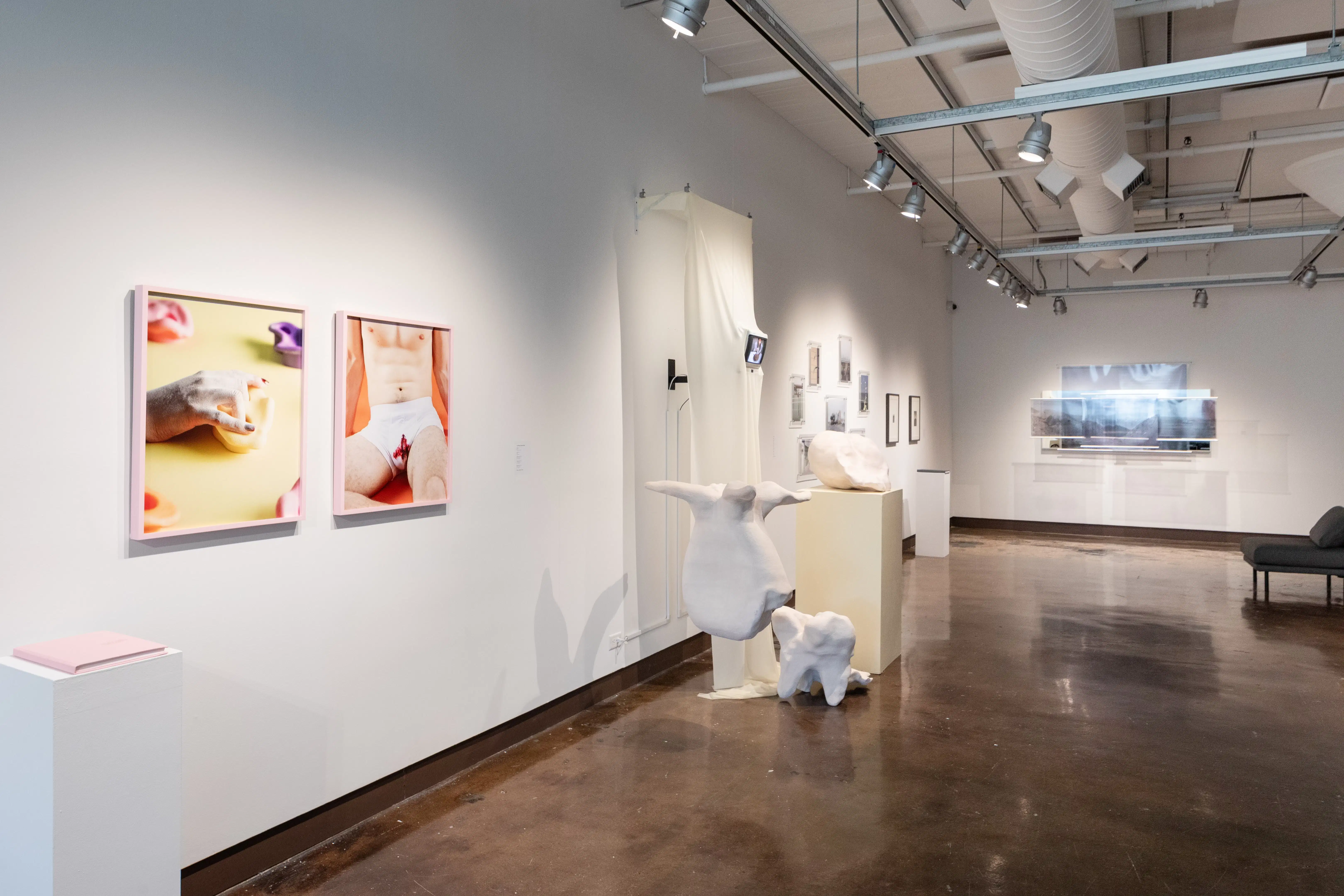 installation shot with framed images, 3d sculptures and transparent images.