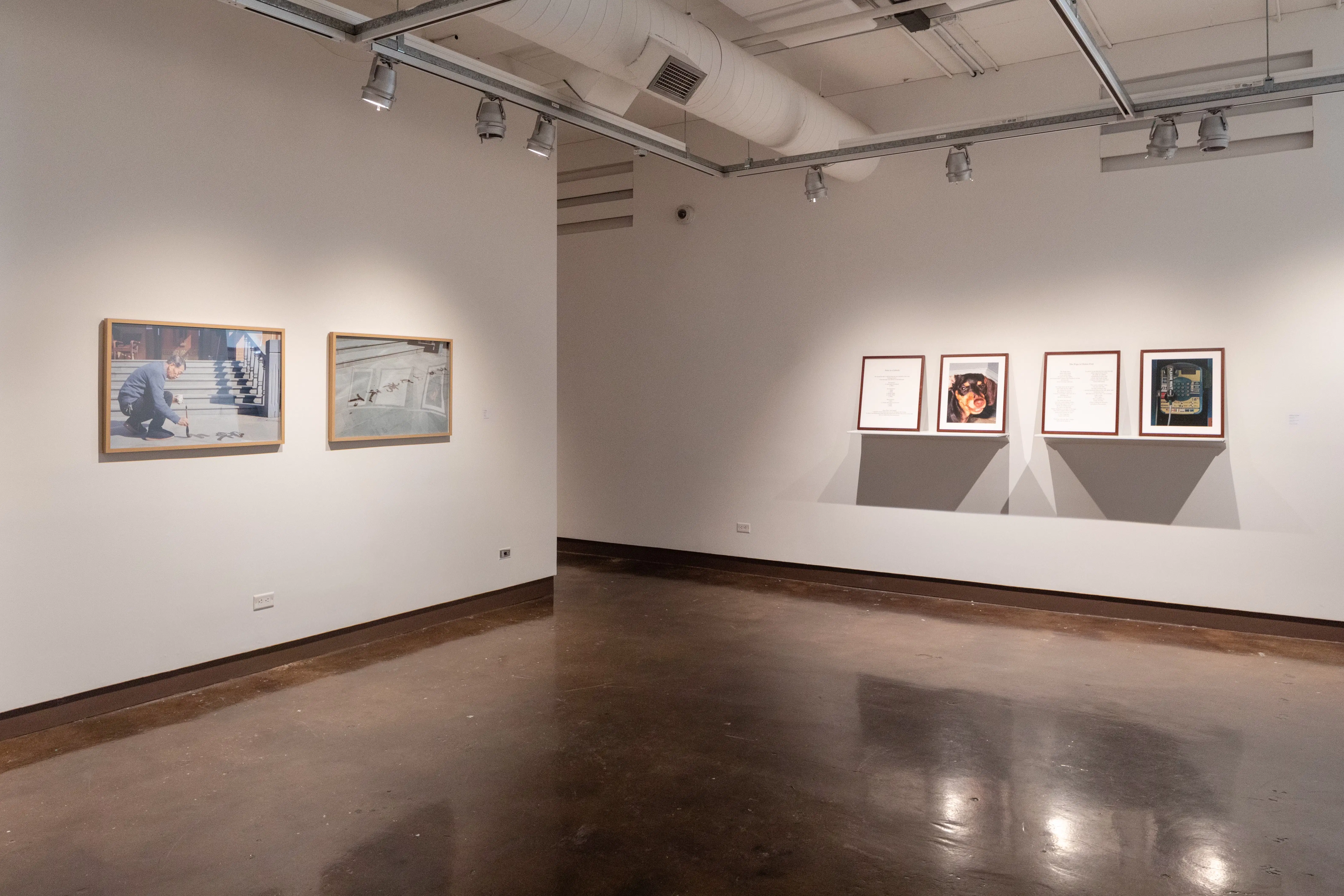 instllation shot of framed images