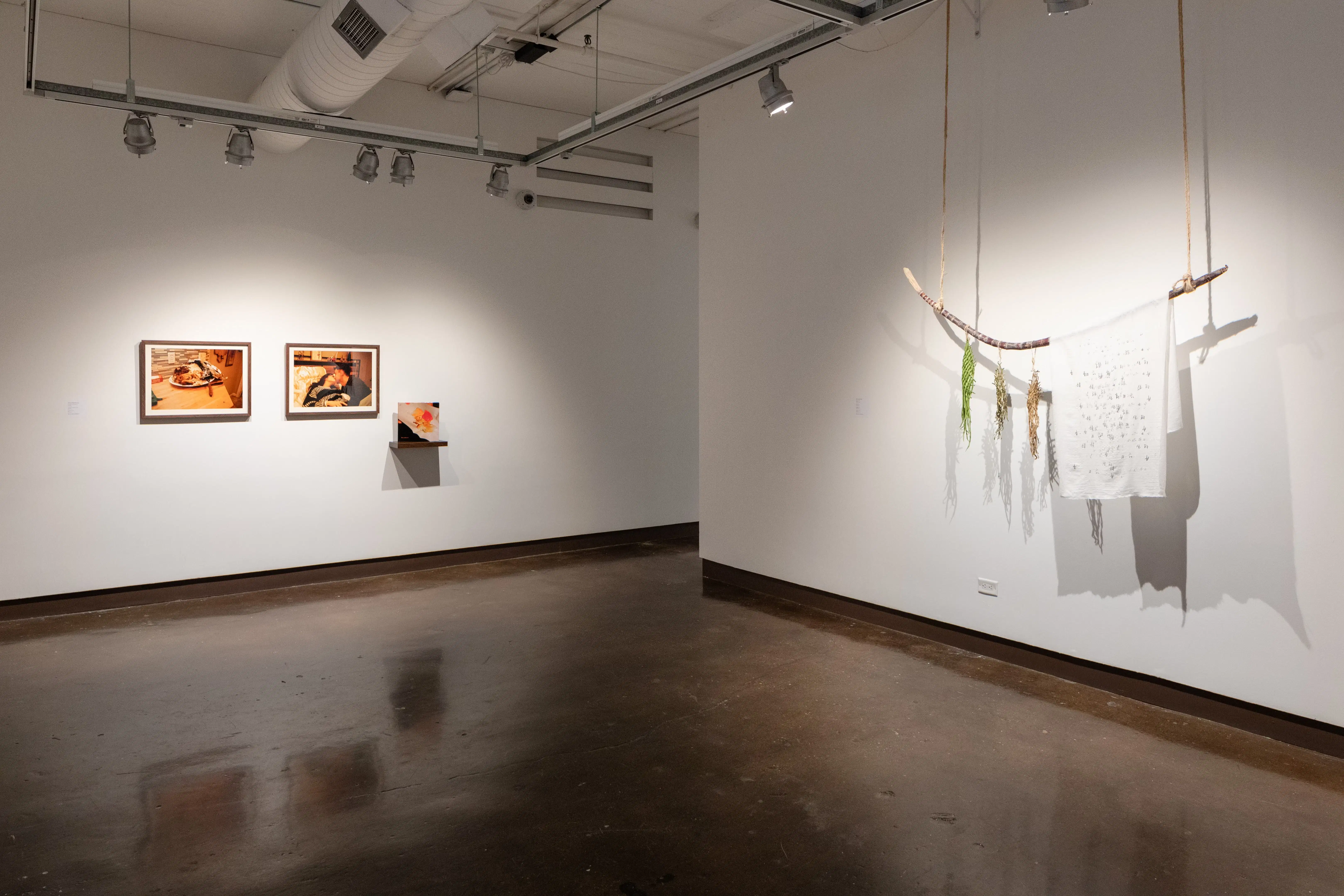 instllation shot of framed images and bamboo installation