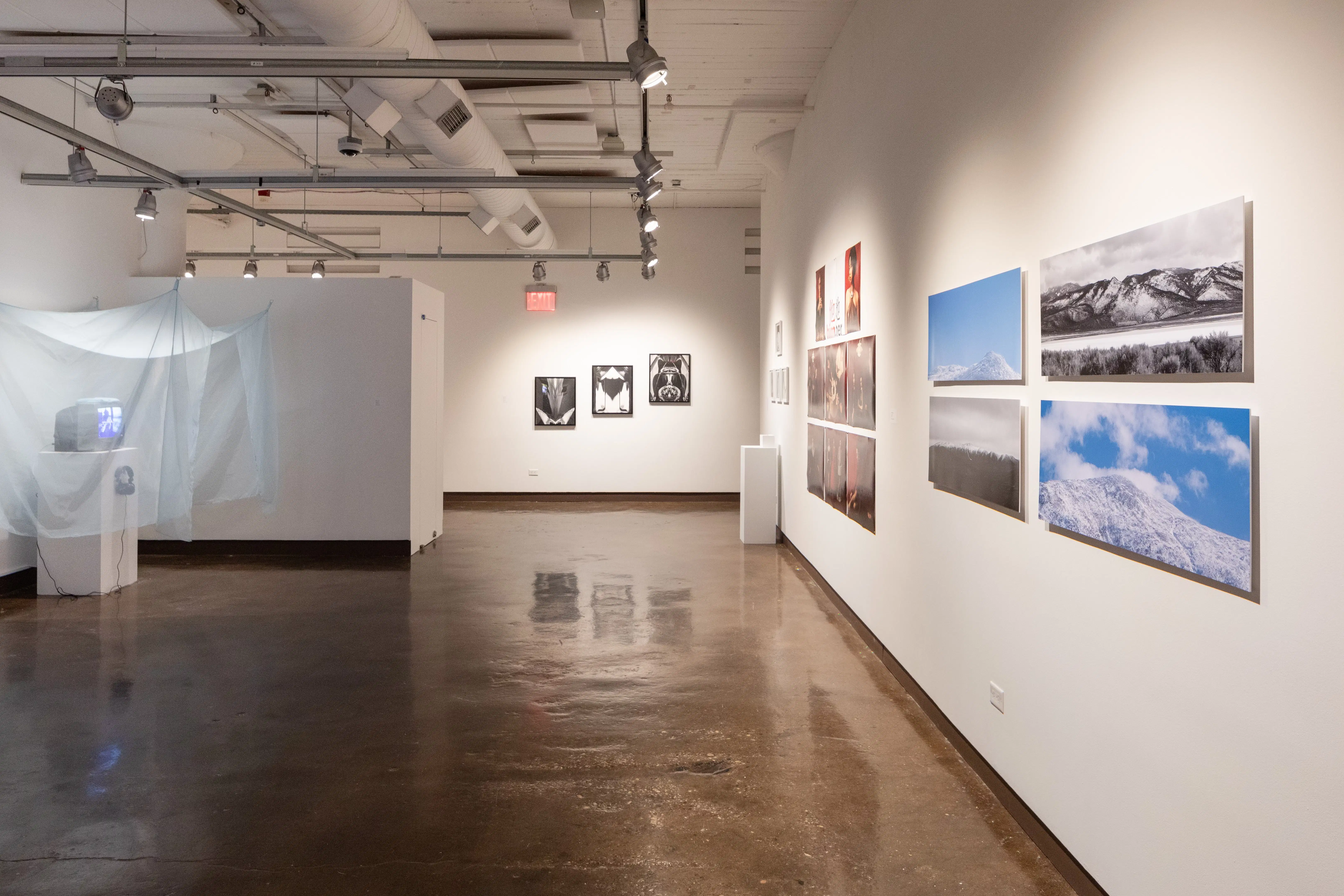 installation shot of the artists in gallery 3