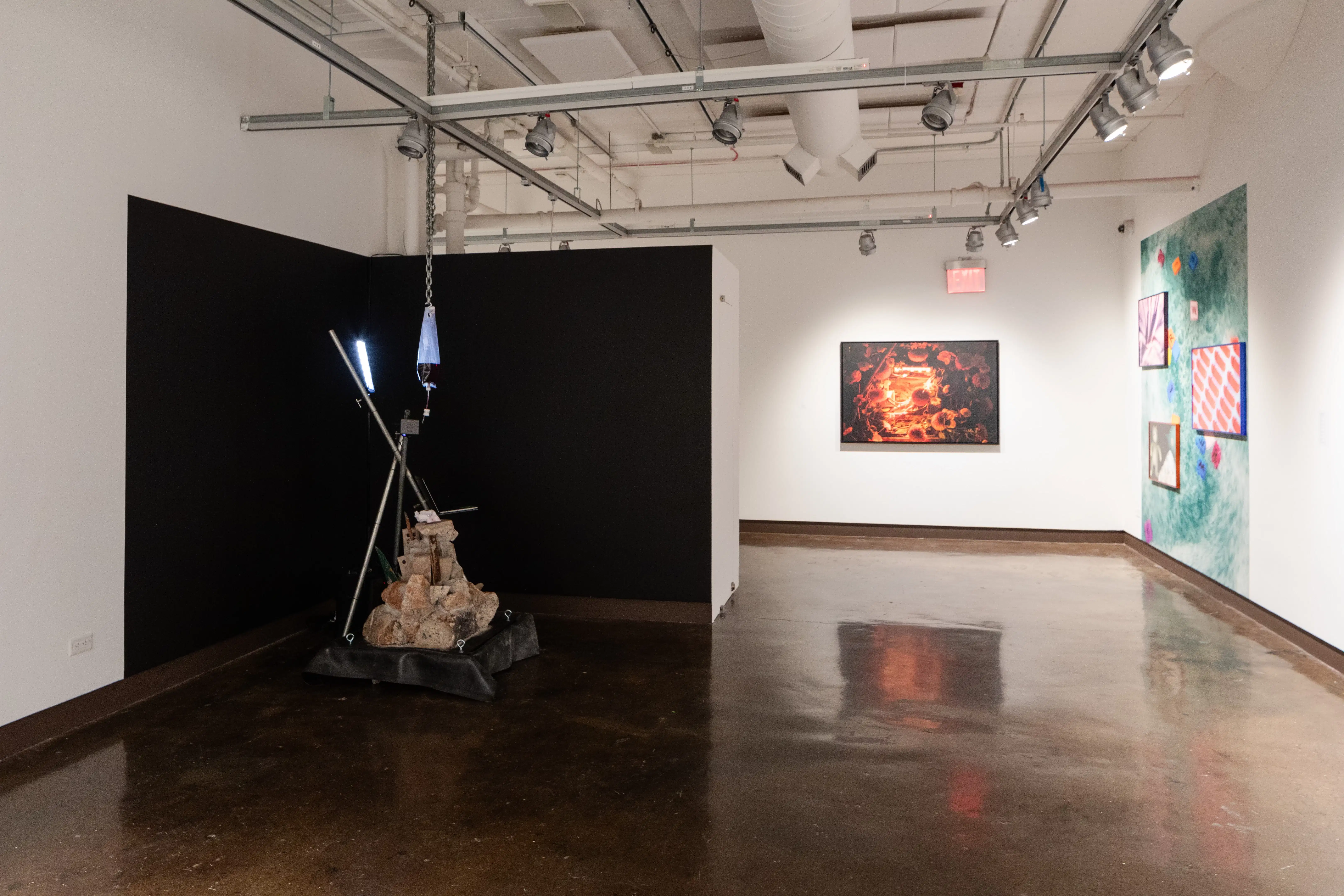 installation shot of back gallery artists