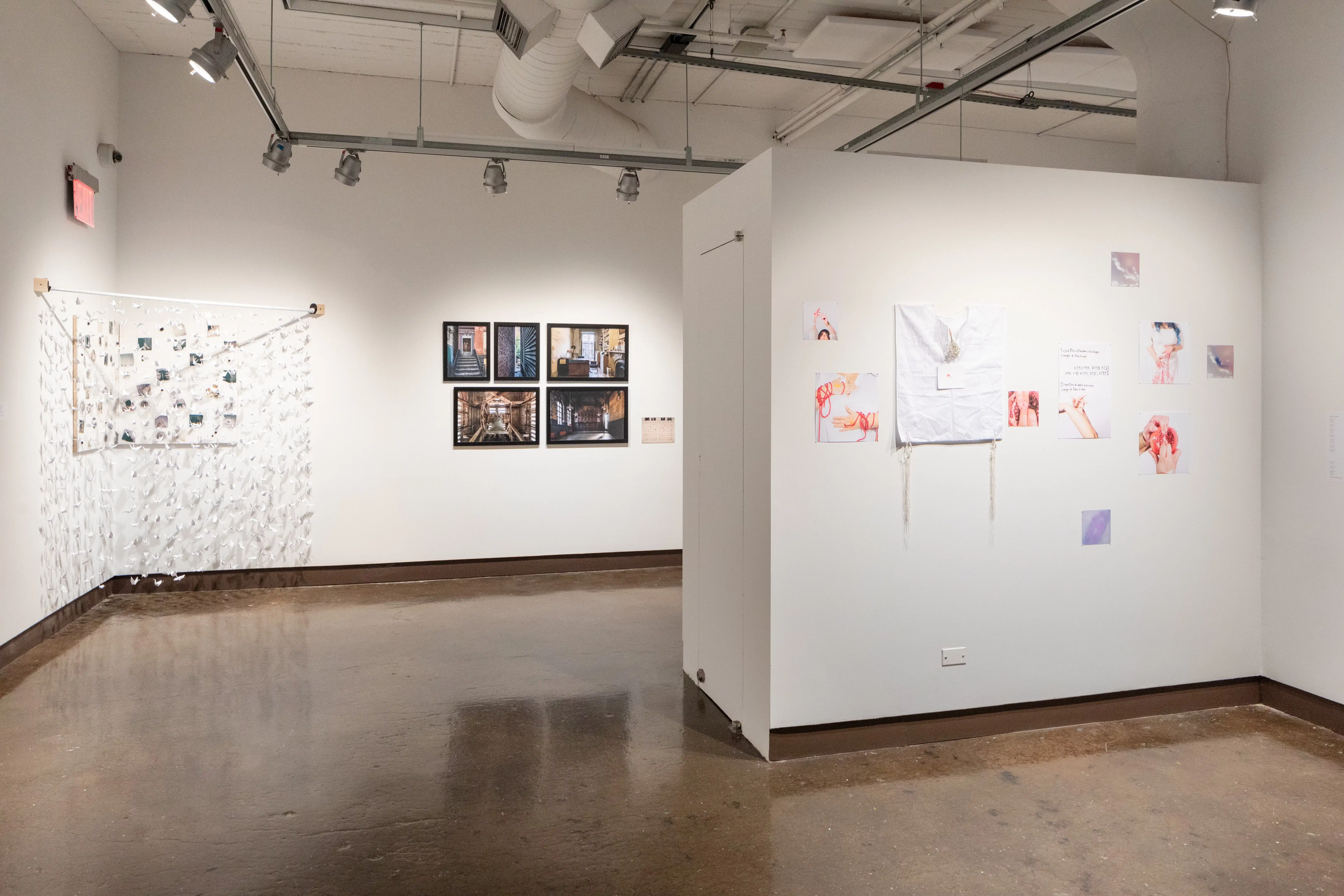 installation shot of back gallery artists