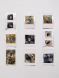 Grid of small ink paintings on paper