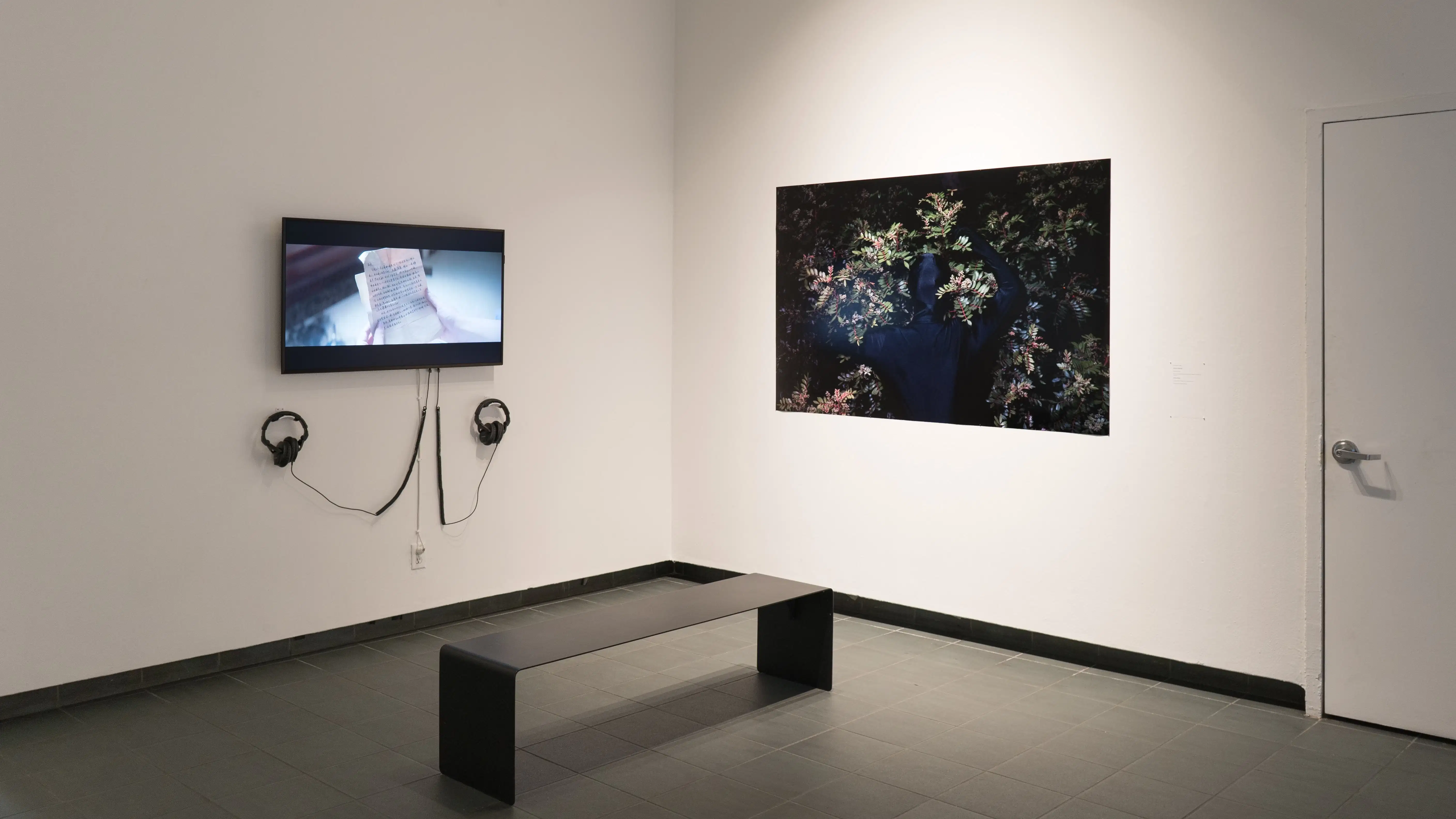 An angled view of the front gallery alcove, showing a large print with a masked and covered figure in front of a bush on the right wall and a monitor showing hands reading a letter on the left wall.