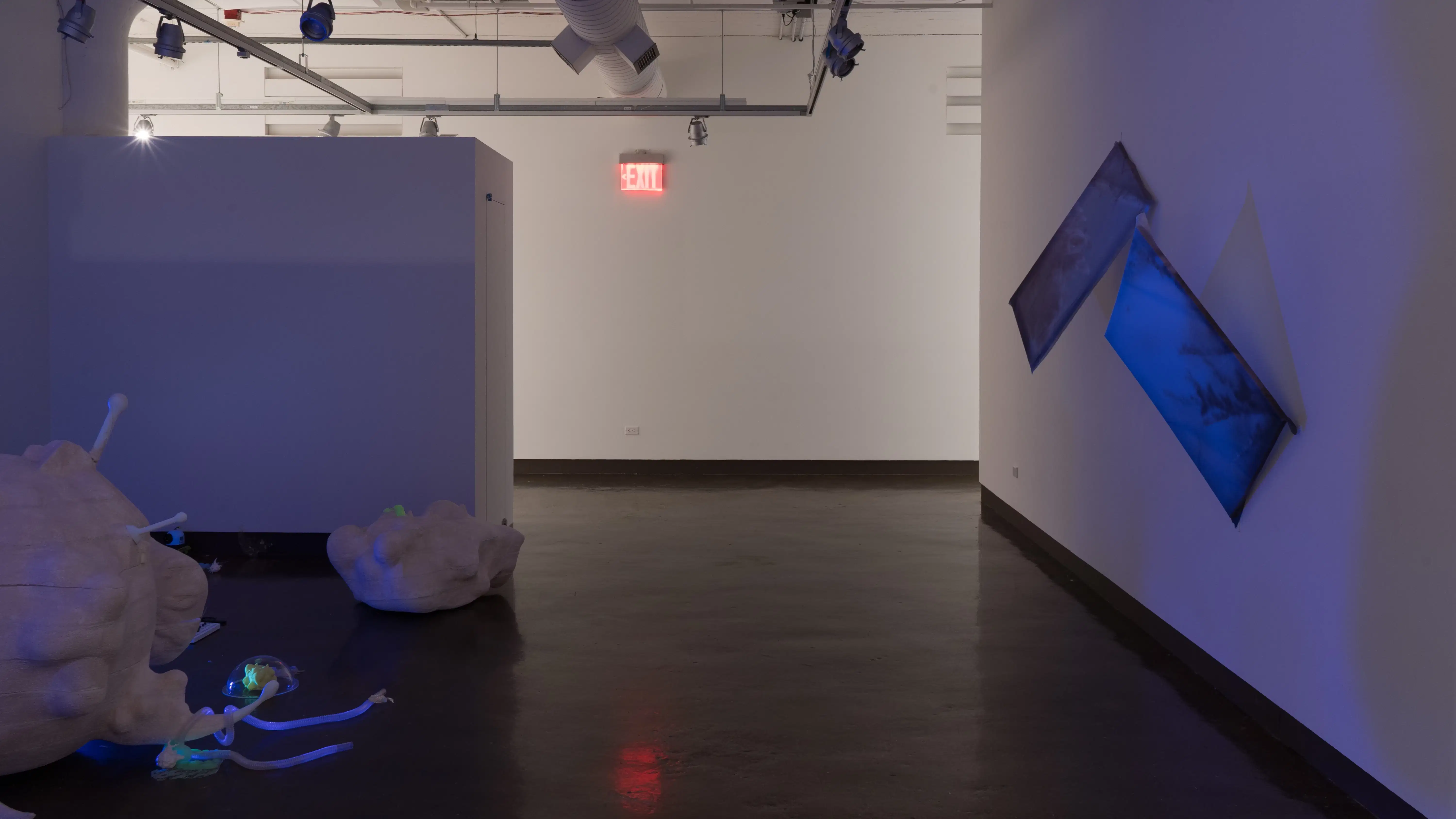 A bluish-purple light glows in the gallery three alcove, among several organically shaped sculptures and objects. Across from the alcove, two stretched paintings lift off of the wall.