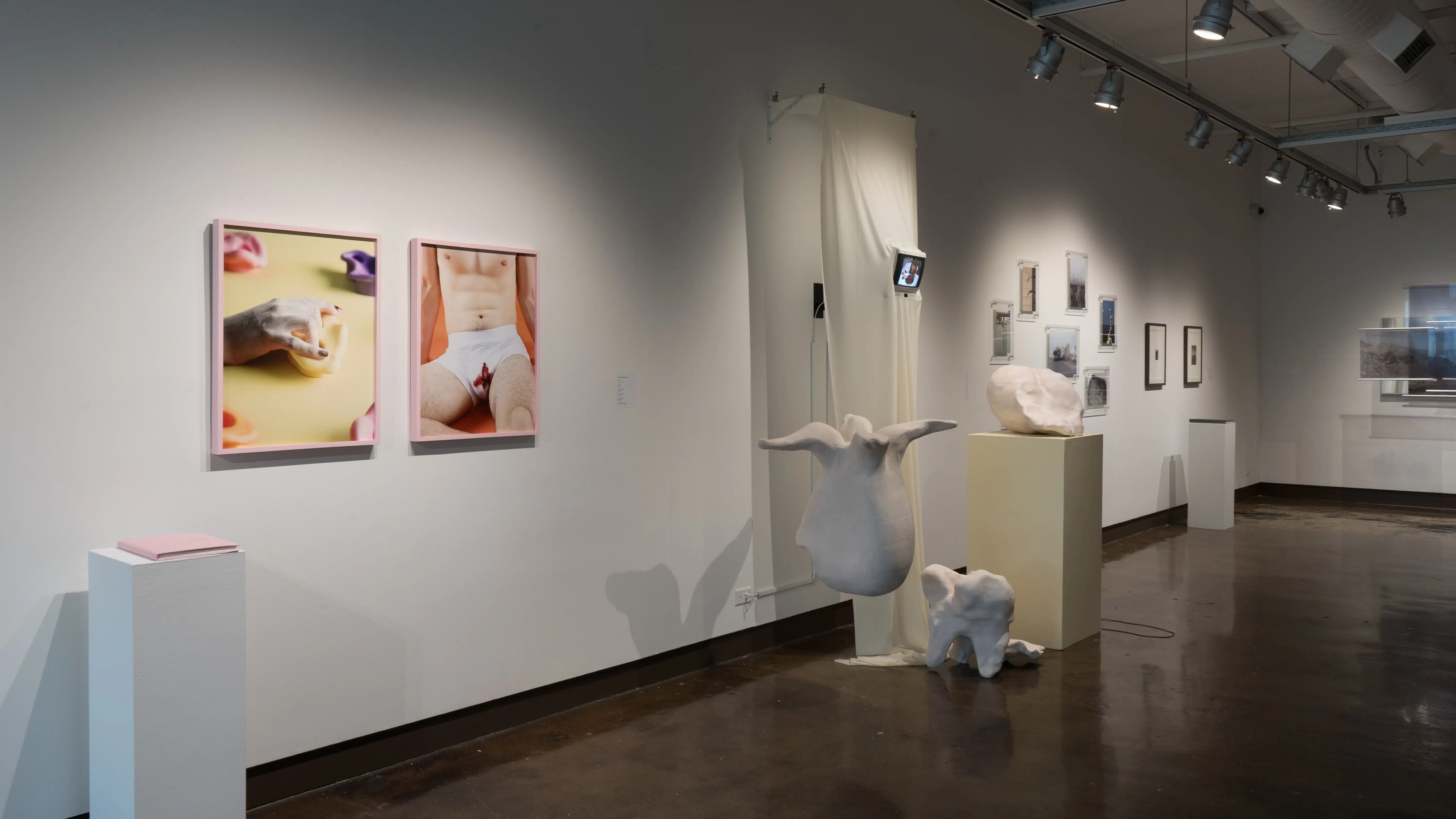 Angled view of gallery wall, featuring framed photography with a pink book on pedestal,  sculpture and video installation work, dispersed print photography in clear frames, and framed photography with gray book on pedestal. 