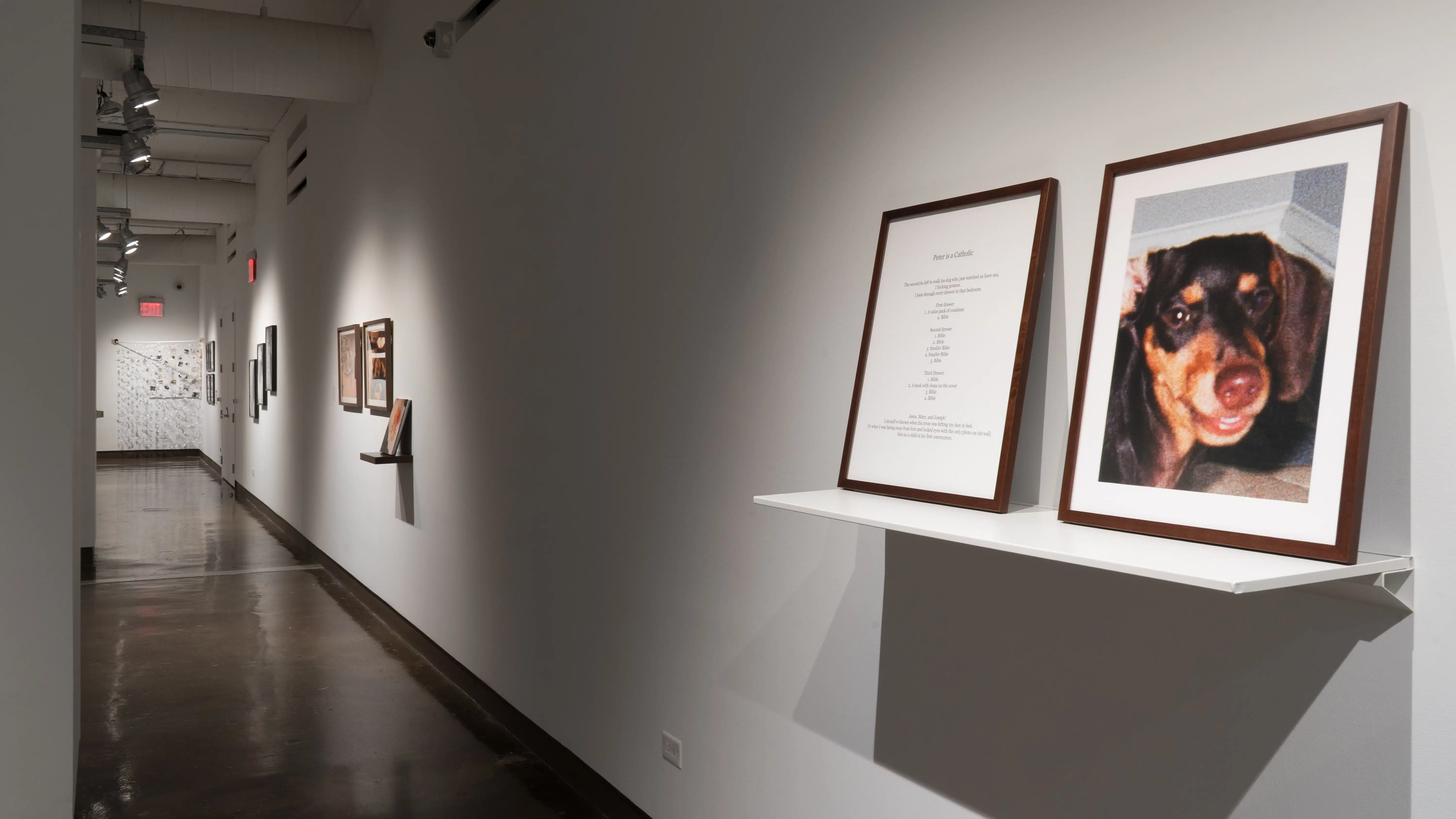 Angled view of gallery hallway w​​ith detail shot of two framed pieces on shelf, a word document and photo of a dog. Several other works line the wall. 