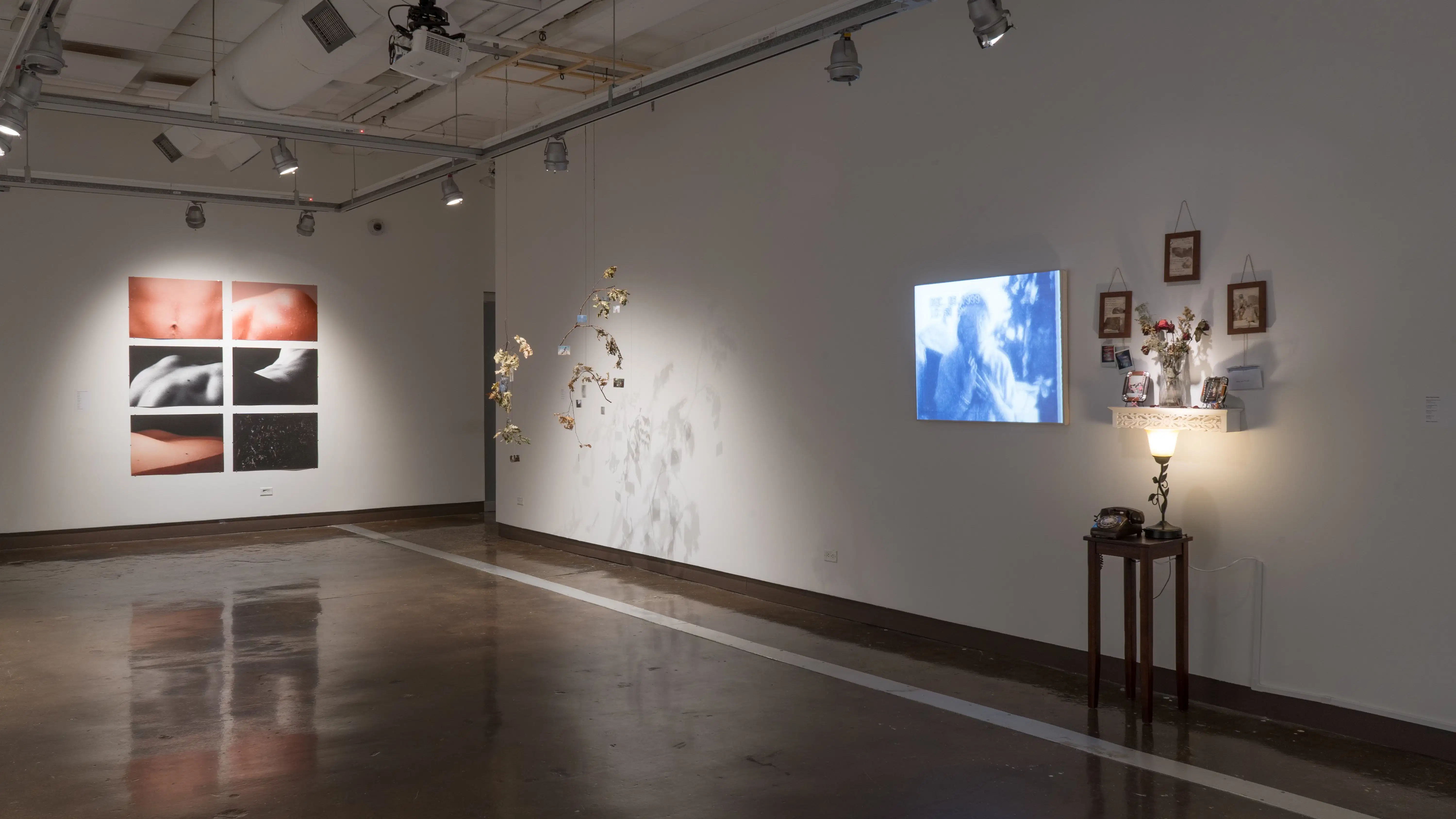 Large scale intimate photography prints vary from colored to grayscale in grid format on the back wall. On the wall to the right there are two hanging branches with small photography prints. Adjacent to that there is installation of shelves with found objects and hung photography. Below is a table with a lamp and an interactive rotary phone, with video projection playing to the left. 