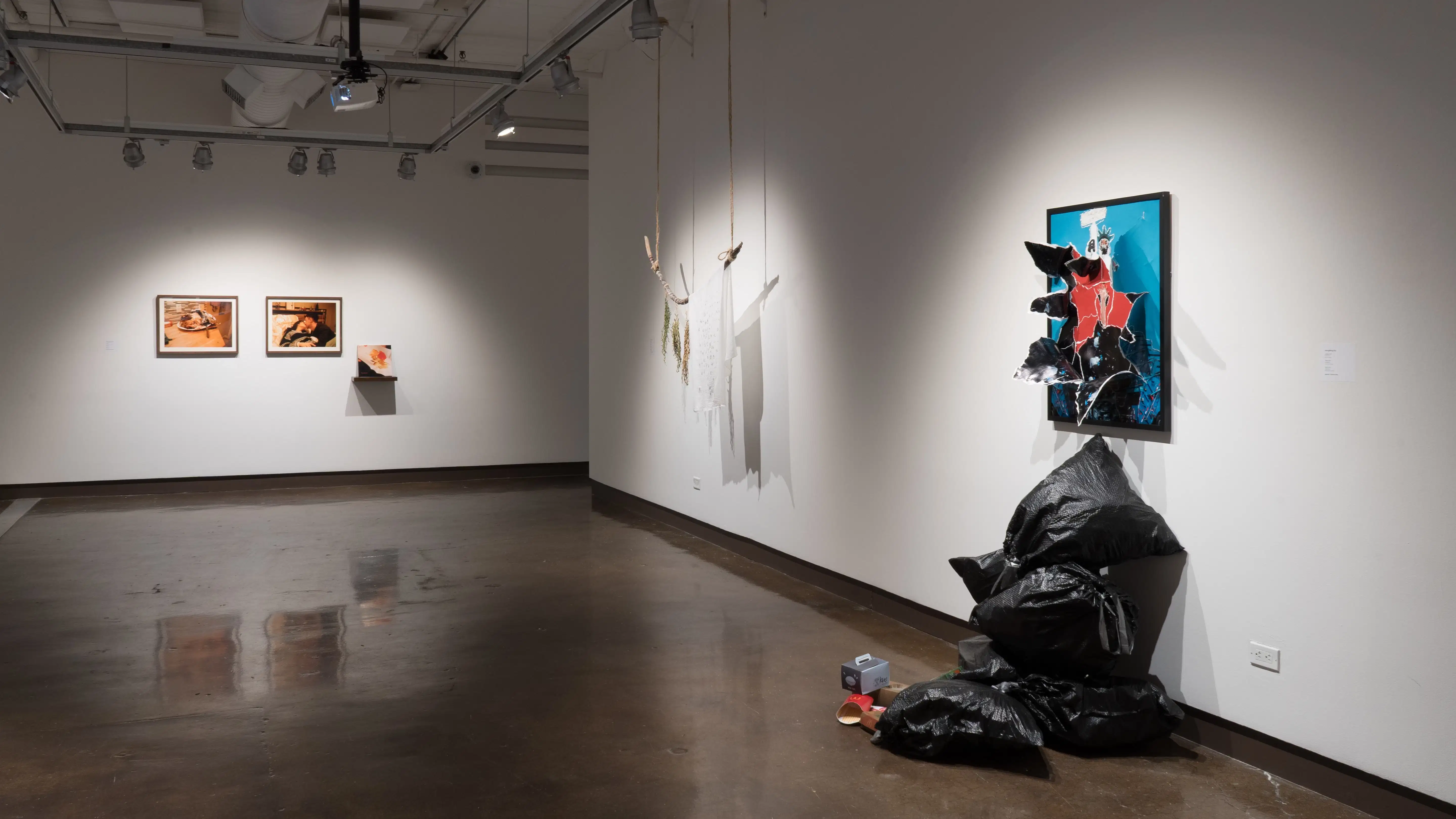Angled view of two 3 dimensional work on wall. To the right are colorful illustrative prints ripped up, with trash bags cascading down the wall onto the floor. Further down is artwork consisting of a cloth sheet and leaves hung on a branch held up by thick twine. On the wall in the background are two home life photography pieces, framed and hung up and a book up against a shelf. 