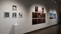 On the left side are four urban life photographs in white frames, three on the bottom and one at the top, with a box on a pedestal below. Next to it is an editorial photo gallery of several models against a dark red background with portraits of the two main models above. To the very right are 4 landscape photographs in a grid format, switching from grayscale to colored. 