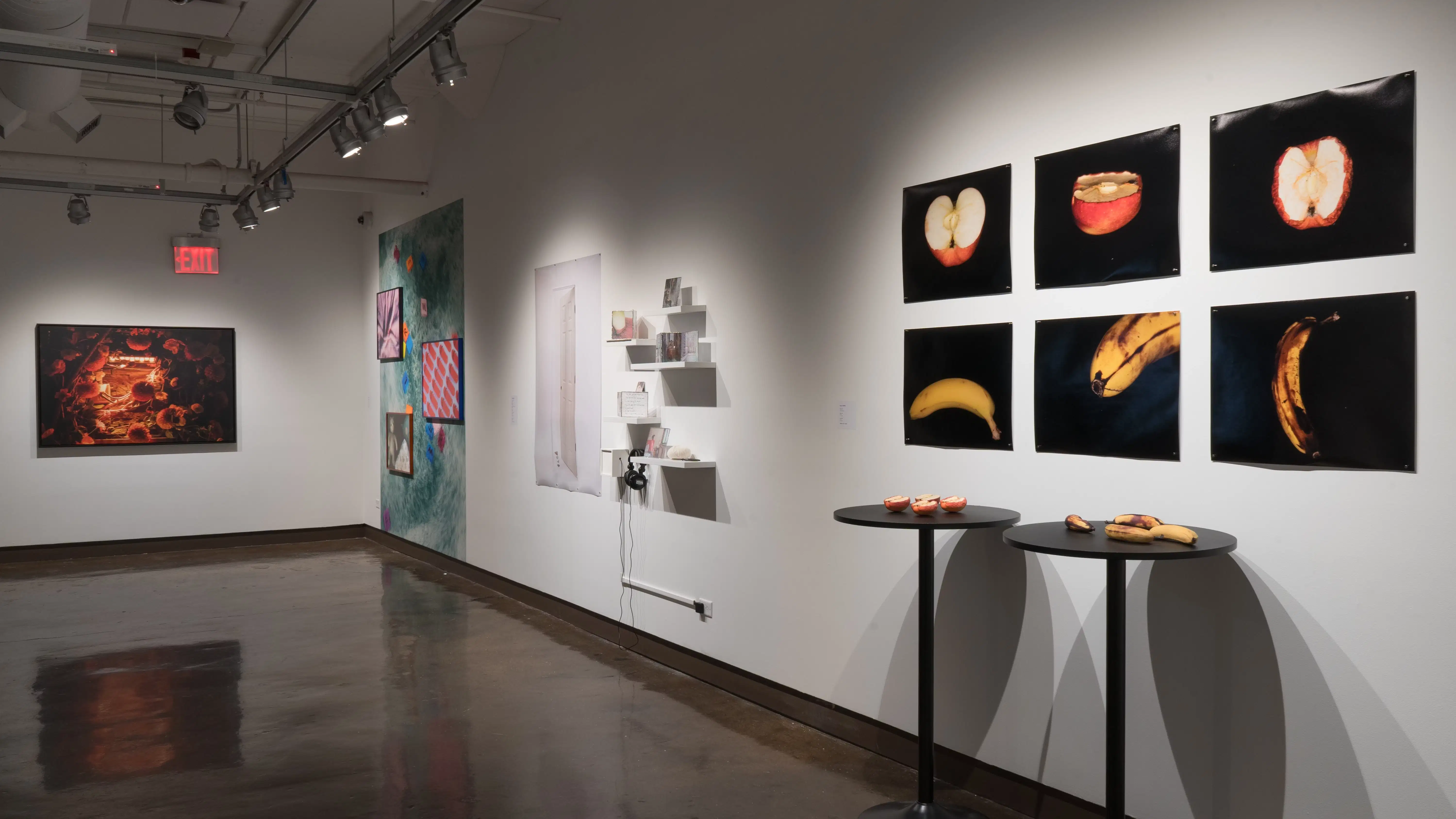 General view of gallery four wall, containing 6 part series of decaying fruit sculpture photographs, along with the sculptures resting on two tables below. Further down are various works containing large scale prints, including shelves with small scale photographs. 
