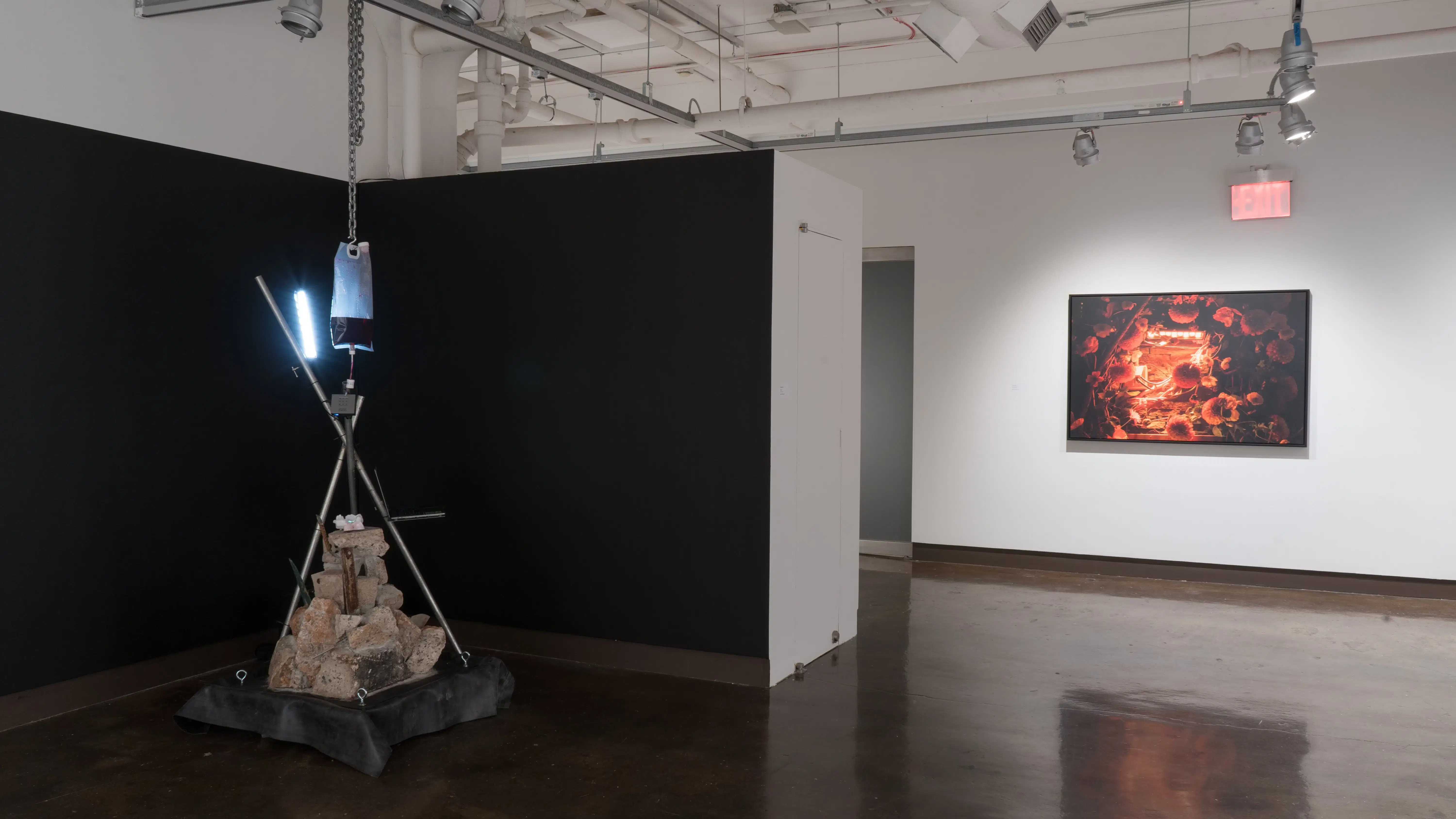 In the corner is an installation consisting of cement bricks under metal pipes and a blood transfer bag against a black background. On the wall further down is a large-scale imaginative piece with warm lighting and flowers. 
