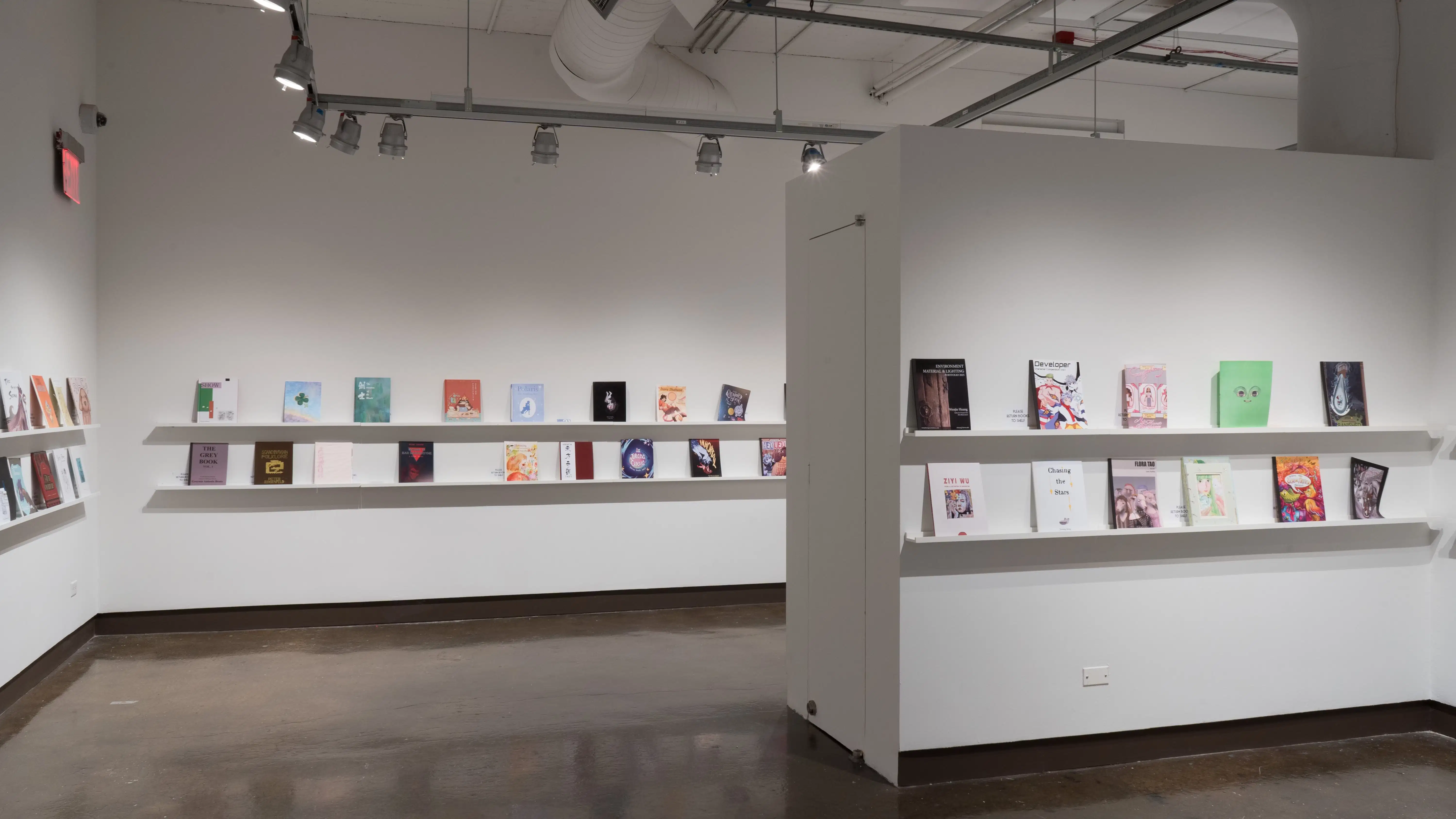 Three walls, spaced out with a hallway in the middle are shown. Each wall displays various books on two long shelves. The wall to the left displays 8 books. The center wall displays 17 books. The wall to the right displays 11 books.