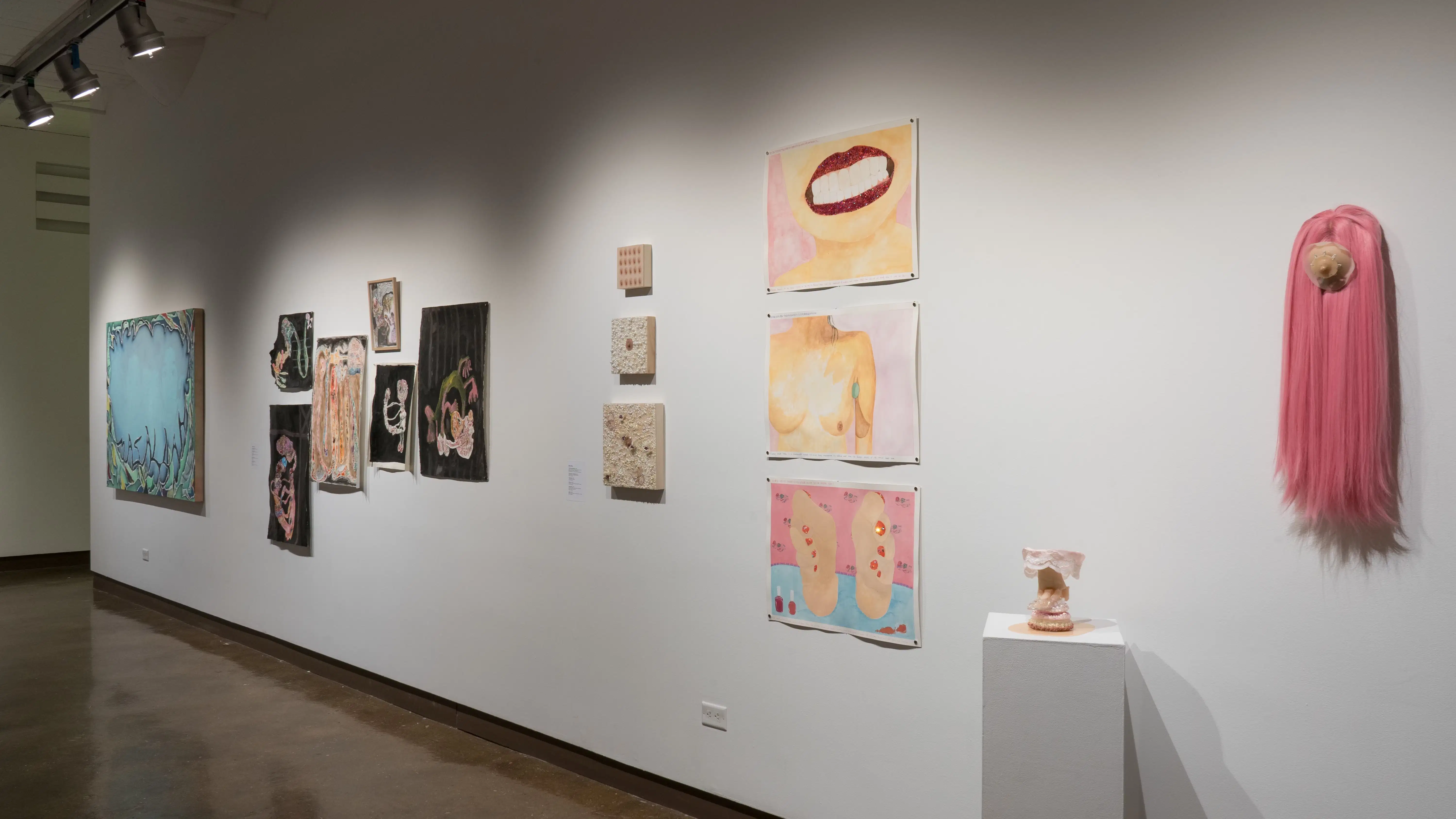 In gallery three, a long pink wig with a silicone nipple on the crown of the head is mounted on the wall. Another sculpture sits on a pedestal to its left, while paintings on paper, panels, and canvas hang on the wall further down.