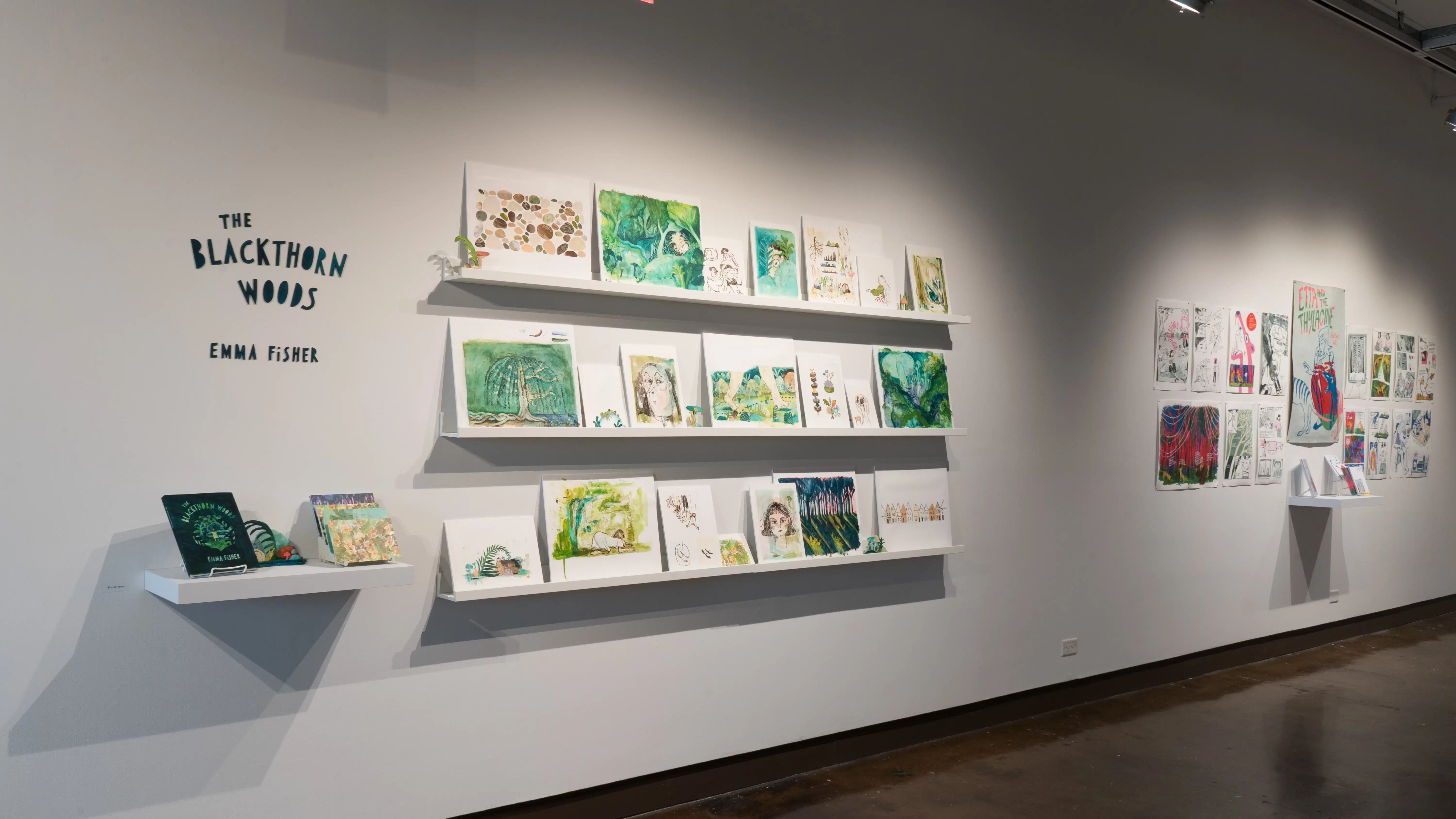 Angled view of the west wall at the SVA Chelsea Gallery. Three shelves of watercolor paintings in blues and greens hang in the foreground, and a small shelf with books and cards hangs below the title, “The Blackthorn Woods, Emma Fisher.”