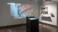 In the gallery three alcove, bold text on one wall reads “Once Upon A Fish.” A black kiosk in the center of the space has a screen to play a video game. The game is projected onto the wall behind the kiosk.