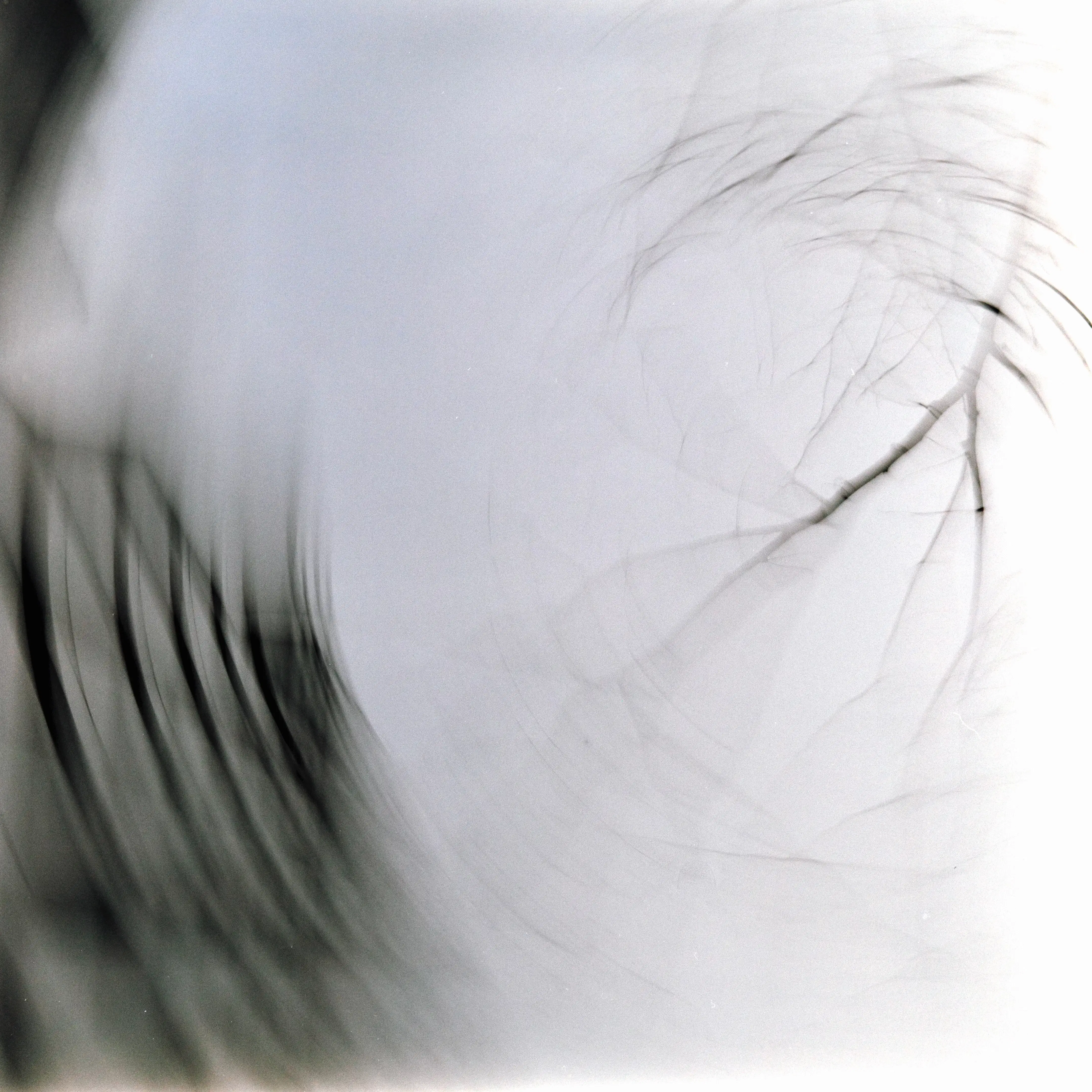A slow motion shot for the tree and the buildings