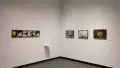 Small framed photos of food hang in a row on the left wall of the gallery. A few slightly larger framed photos hang in a row to their right, on the center wall. 
