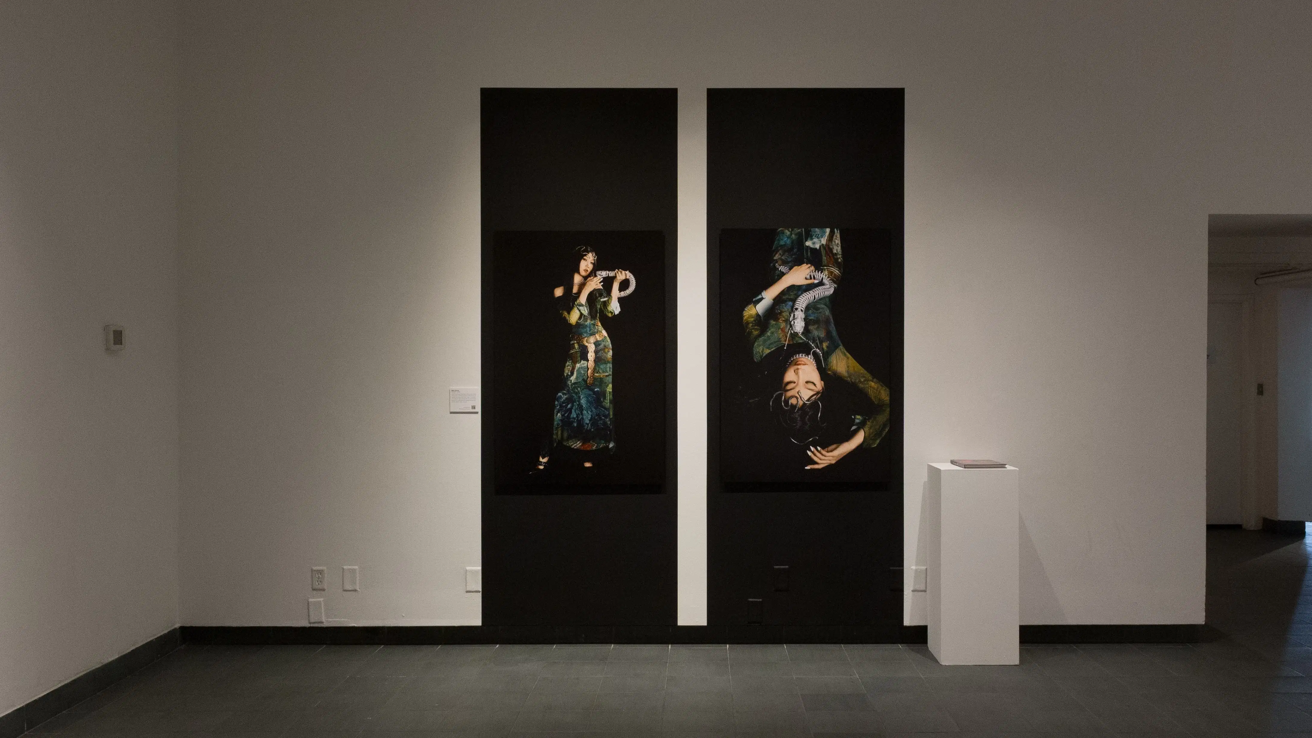 A wall in the back gallery shows two large vertical photographs hung on black backgrounds. In the photos, a woman in a dress poses with a snake.