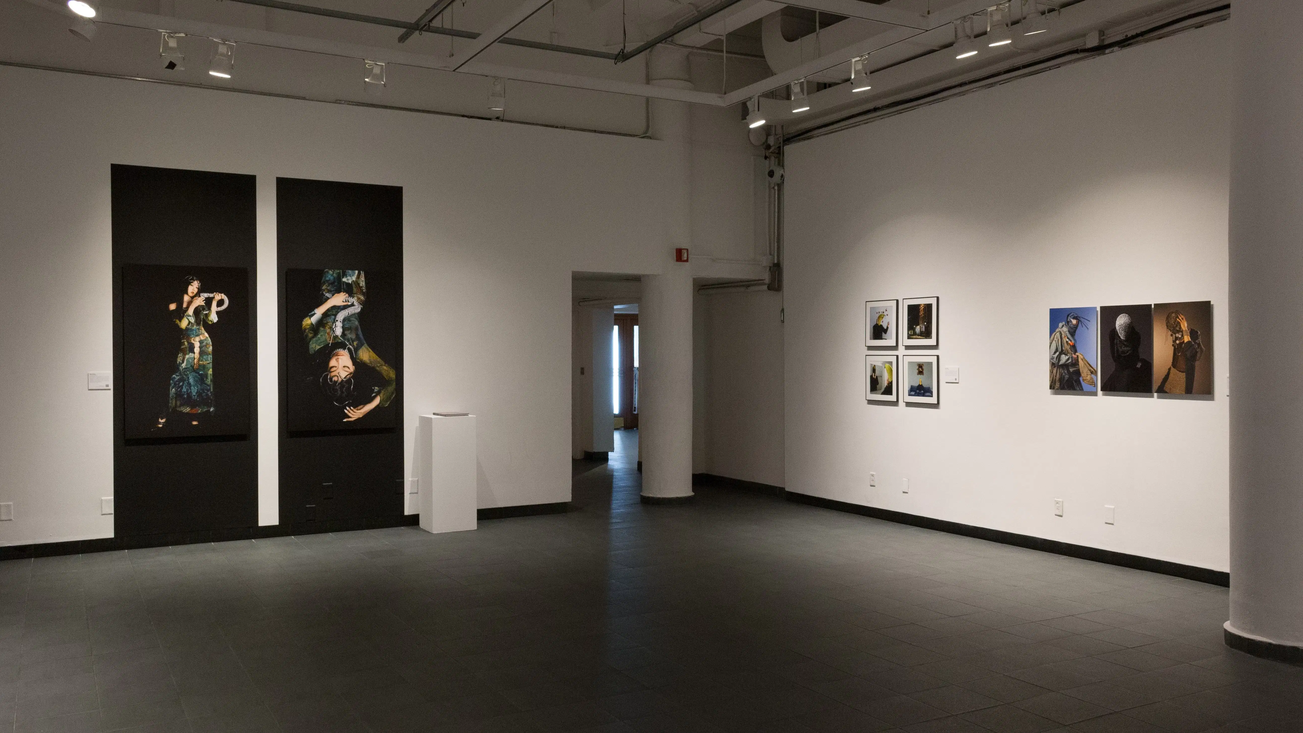 A view of the back gallery shows the two photographs of a woman with a snake, the photographs of a man with a banana head, and the photographs of people with their faces covered.