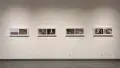 A series of diptych photographs hang on a wall of the gallery.