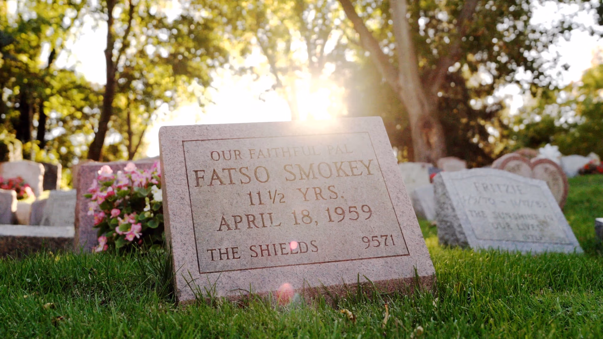 gravestone in cemetery with sun shining behind reads 'our favorite pal, fatso smokey, 11 1/2 yrs, april 18, 1959