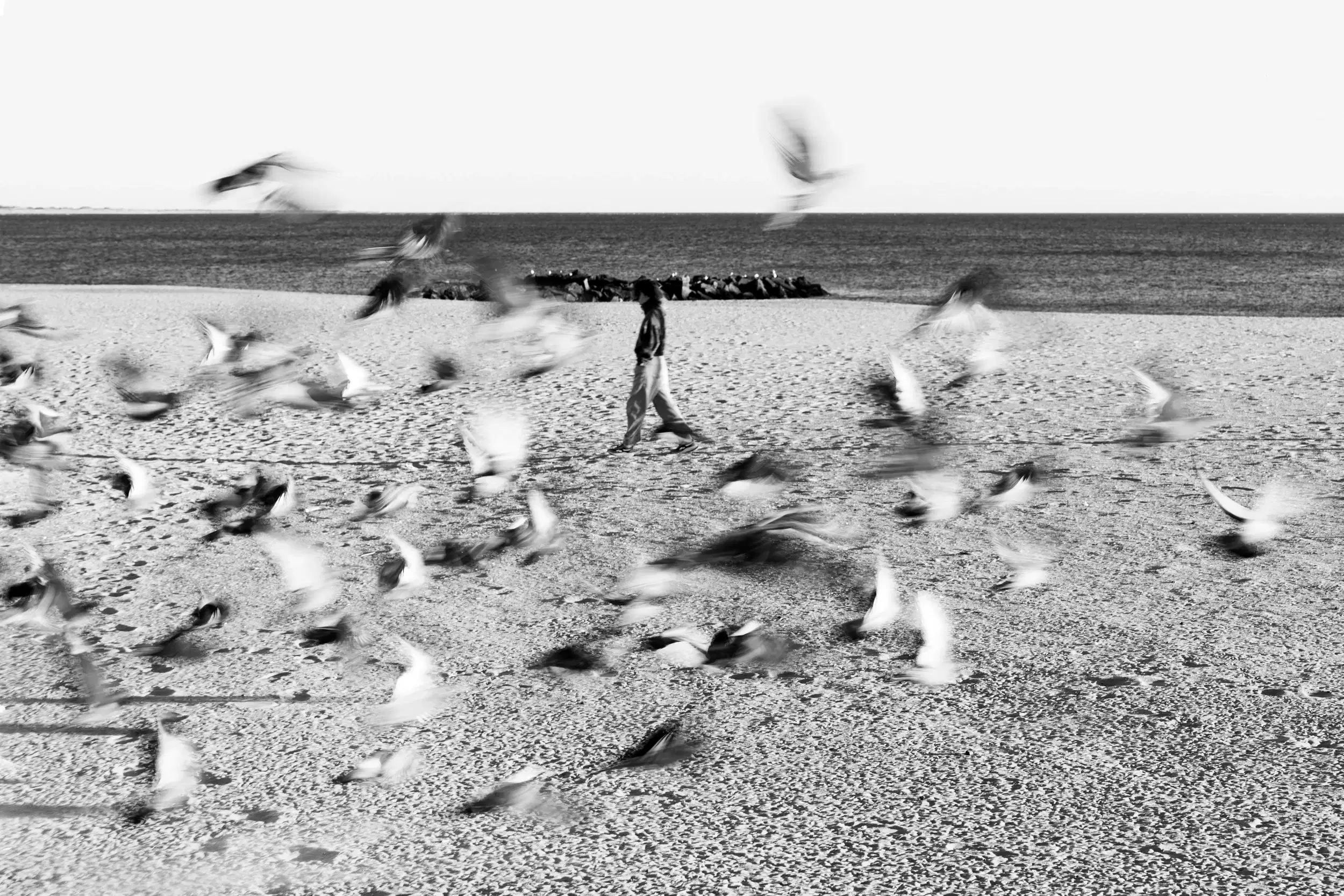 The blank spaces and textural background and the blurred moving subject are expressed through the soft grayscale of mat paper.